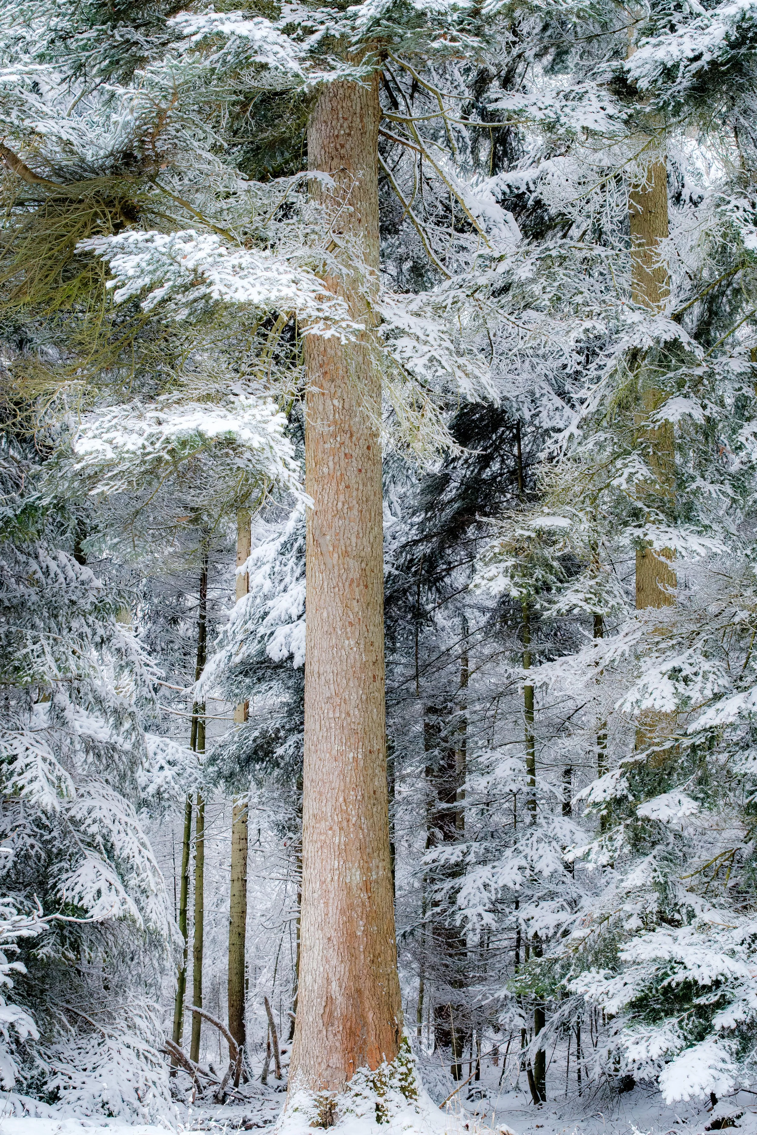 012 - 2601_Spaziergänge_111491.jpg