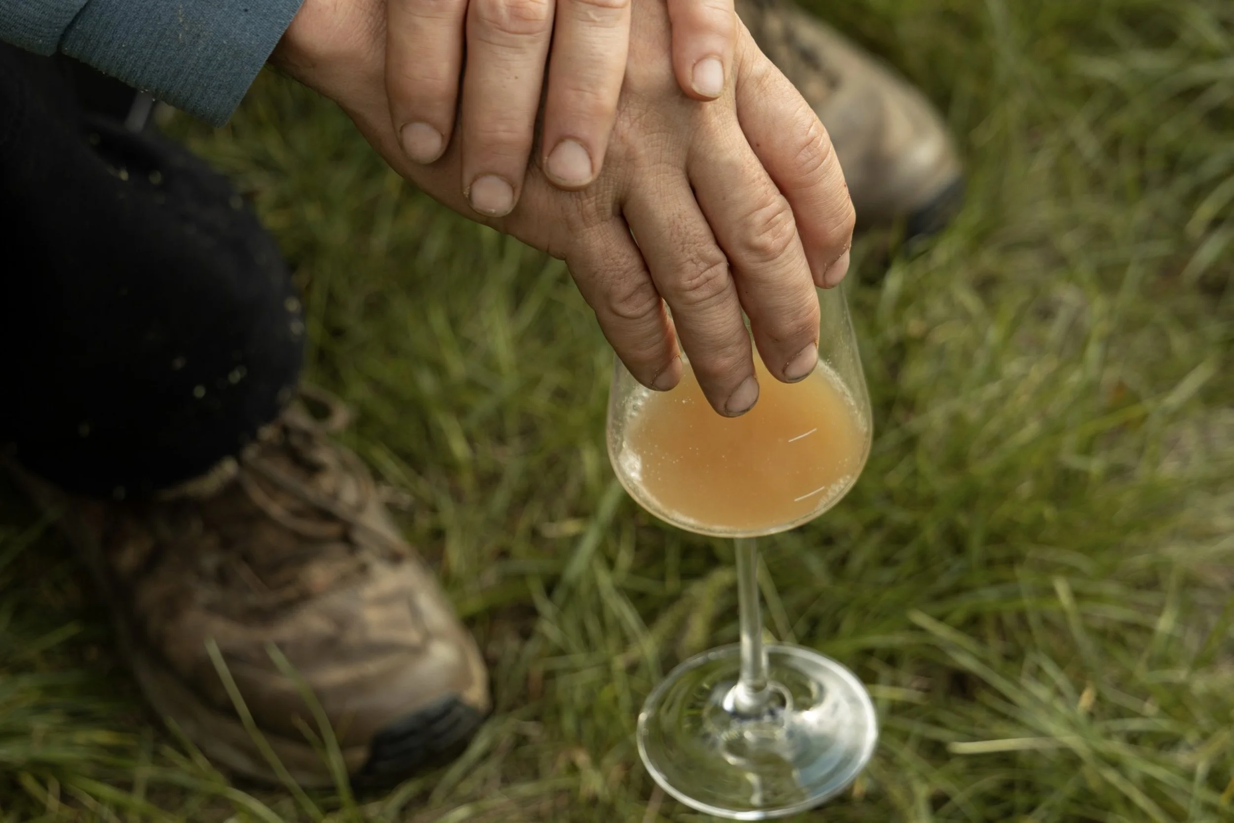 Nealkoholické víno? Já raději víno s nižším alkoholem