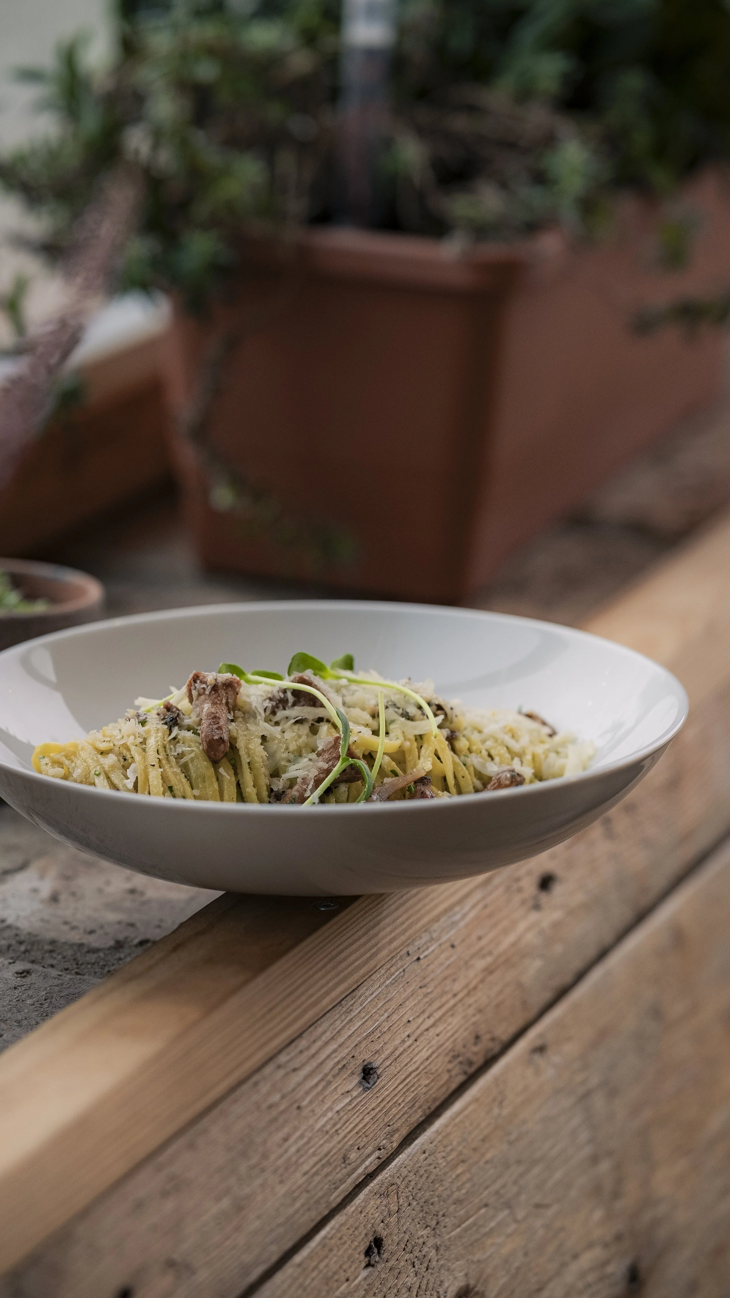 A bowl of spaghetti with sauce, topped with microgreens, placed on a wooden surface with a garden background.