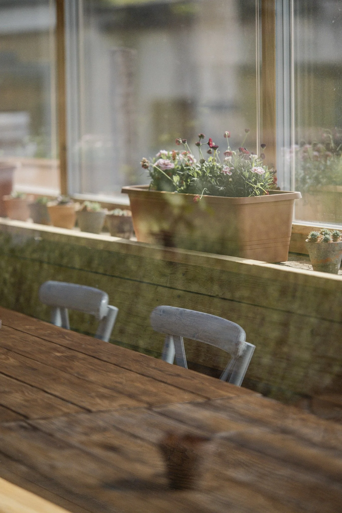 Moodky_restaurace_zahrada_web-3.jpg
