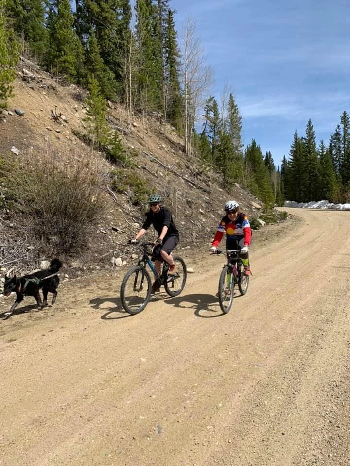 Two people riding mountain bikes on a dirt trail, accompanied by a black dog, in a wooded area with pine trees and clear blue sky.