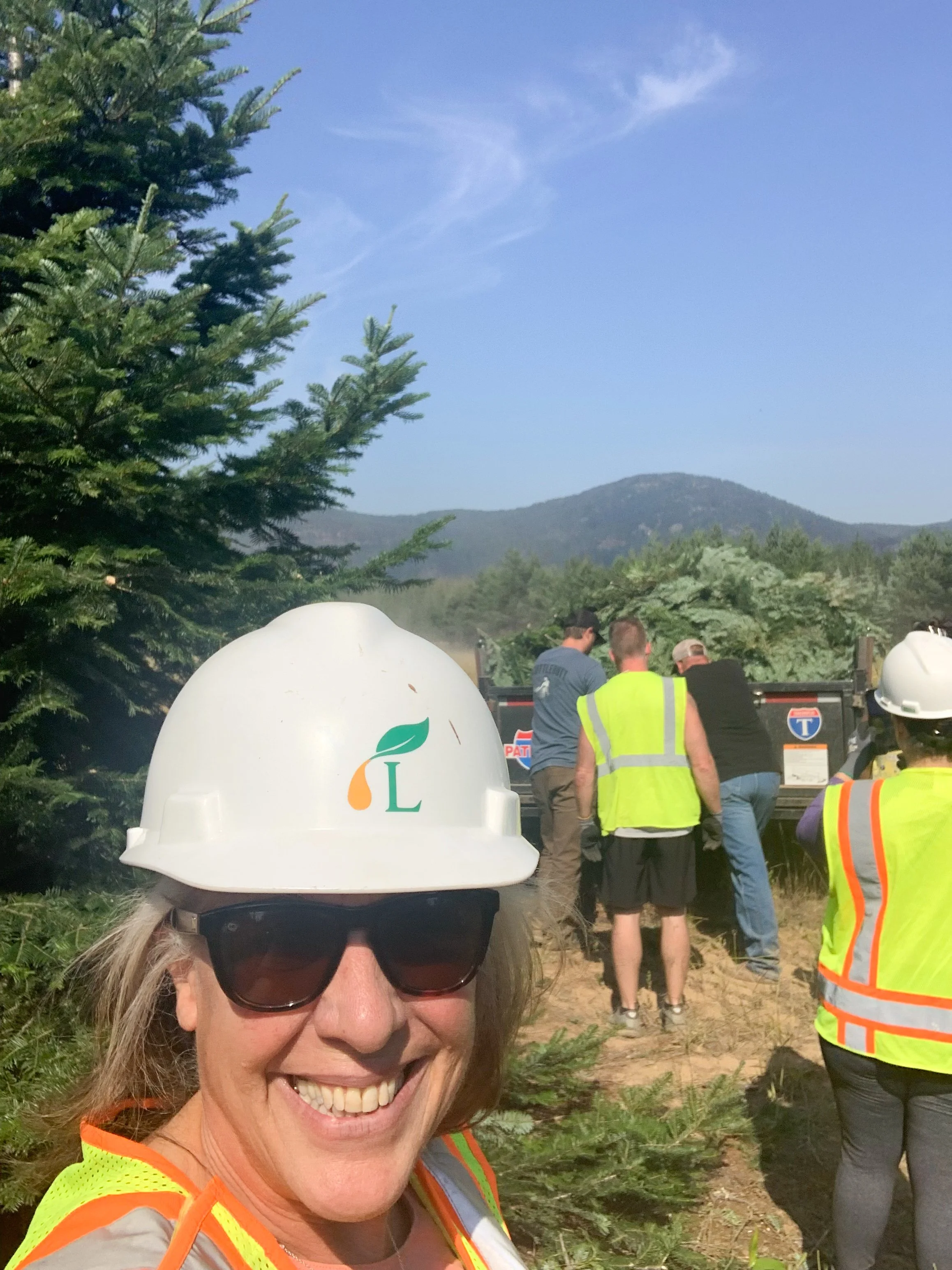 Smiling woman in safety vest and hard hat taking selfie outdoors with a group of workers and pine trees in the background, mountain landscape, clear blue sky.