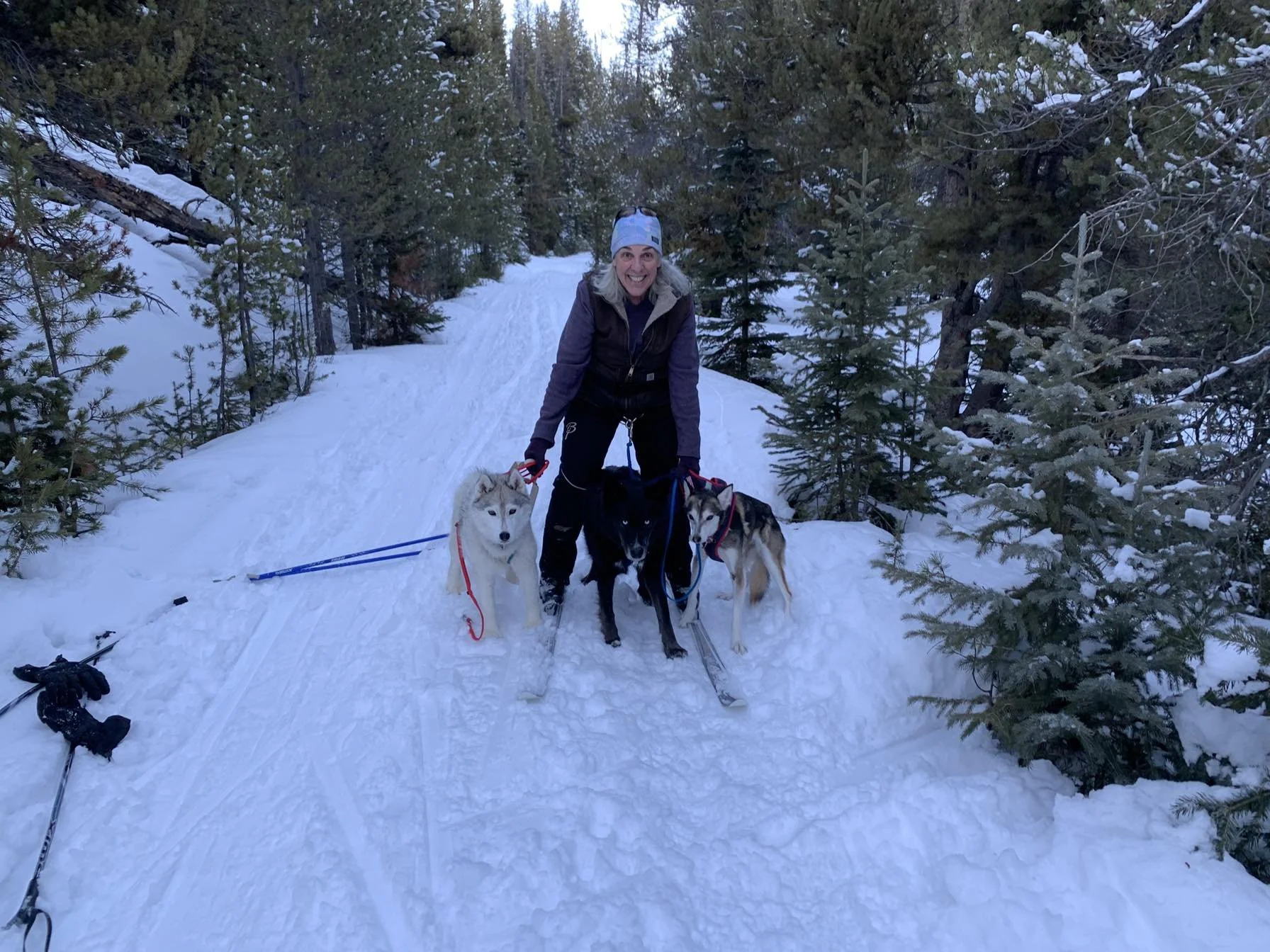Woman in winter gear with three huskies on a snowy trail in a forest.
