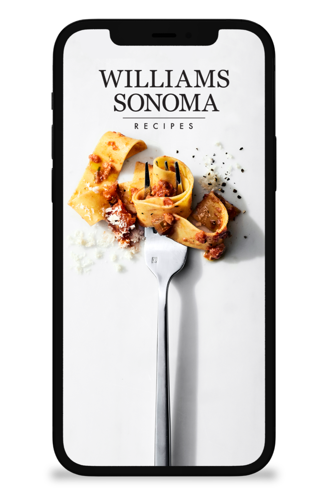 WS_RecipeApp_Mockup_LOGO SCREEN_edited_edited.png