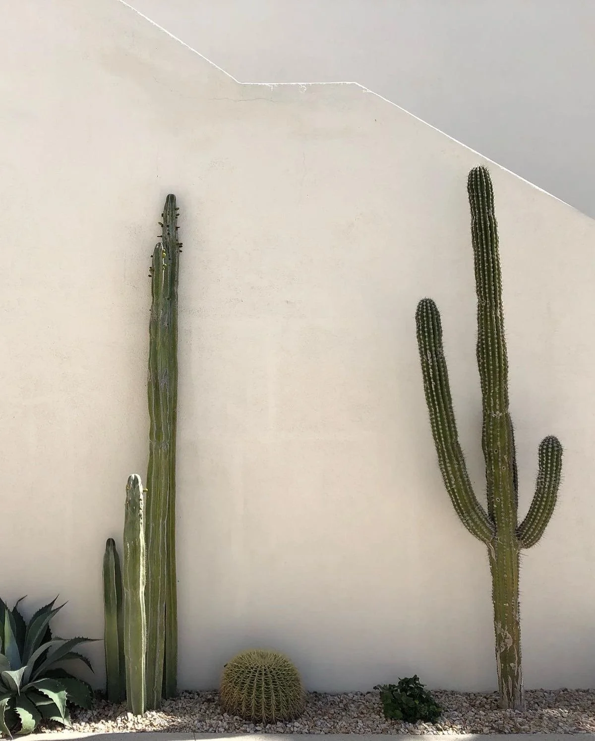 Logo designer for spas, Paradise Valley, Arizona