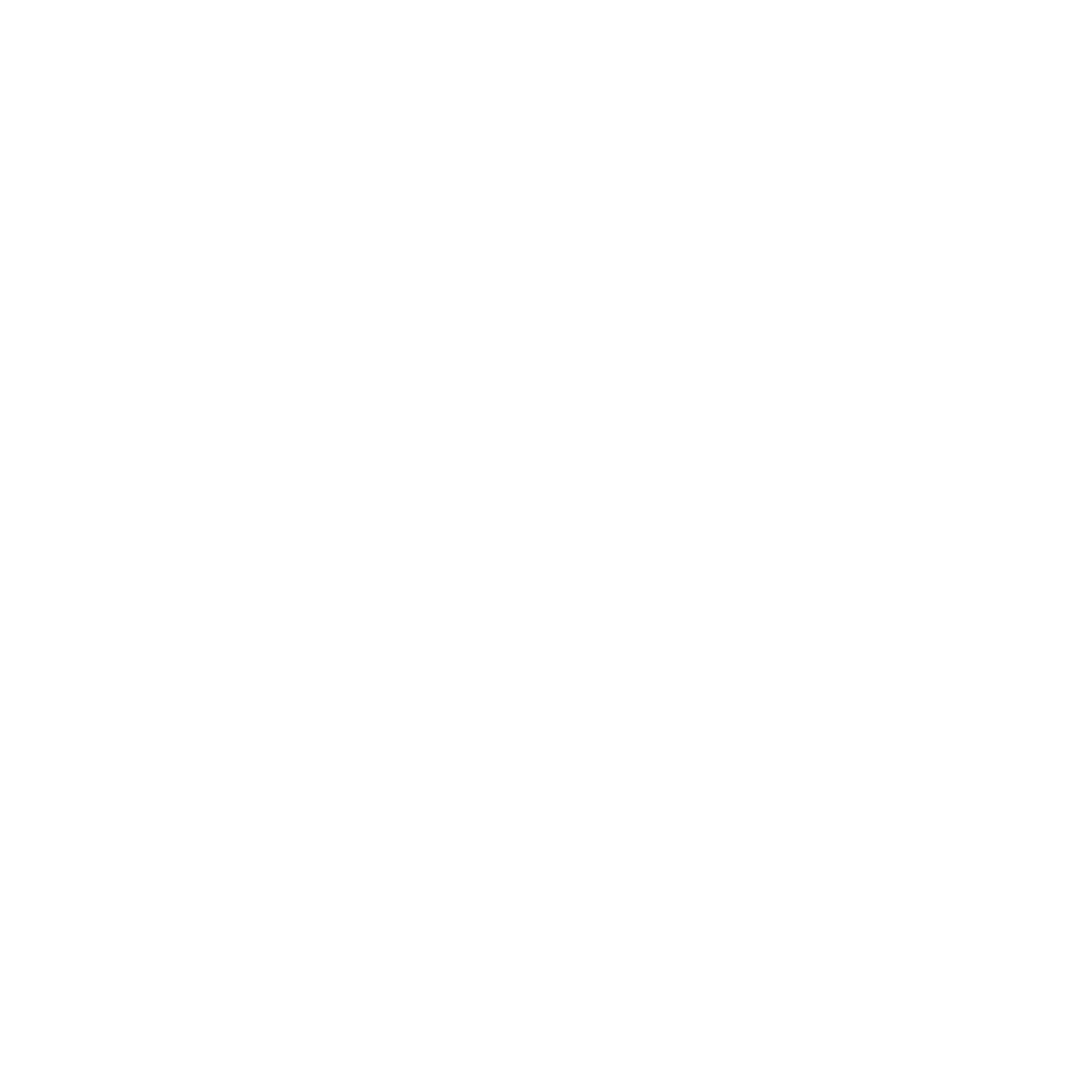 logo designer, Charleston, SC