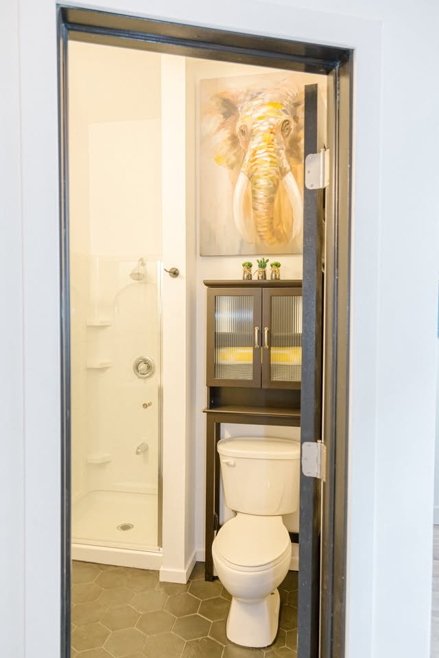 Small bathroom with shower, toilet, and storage cabinet, featuring a painting of an elephant on the wall.