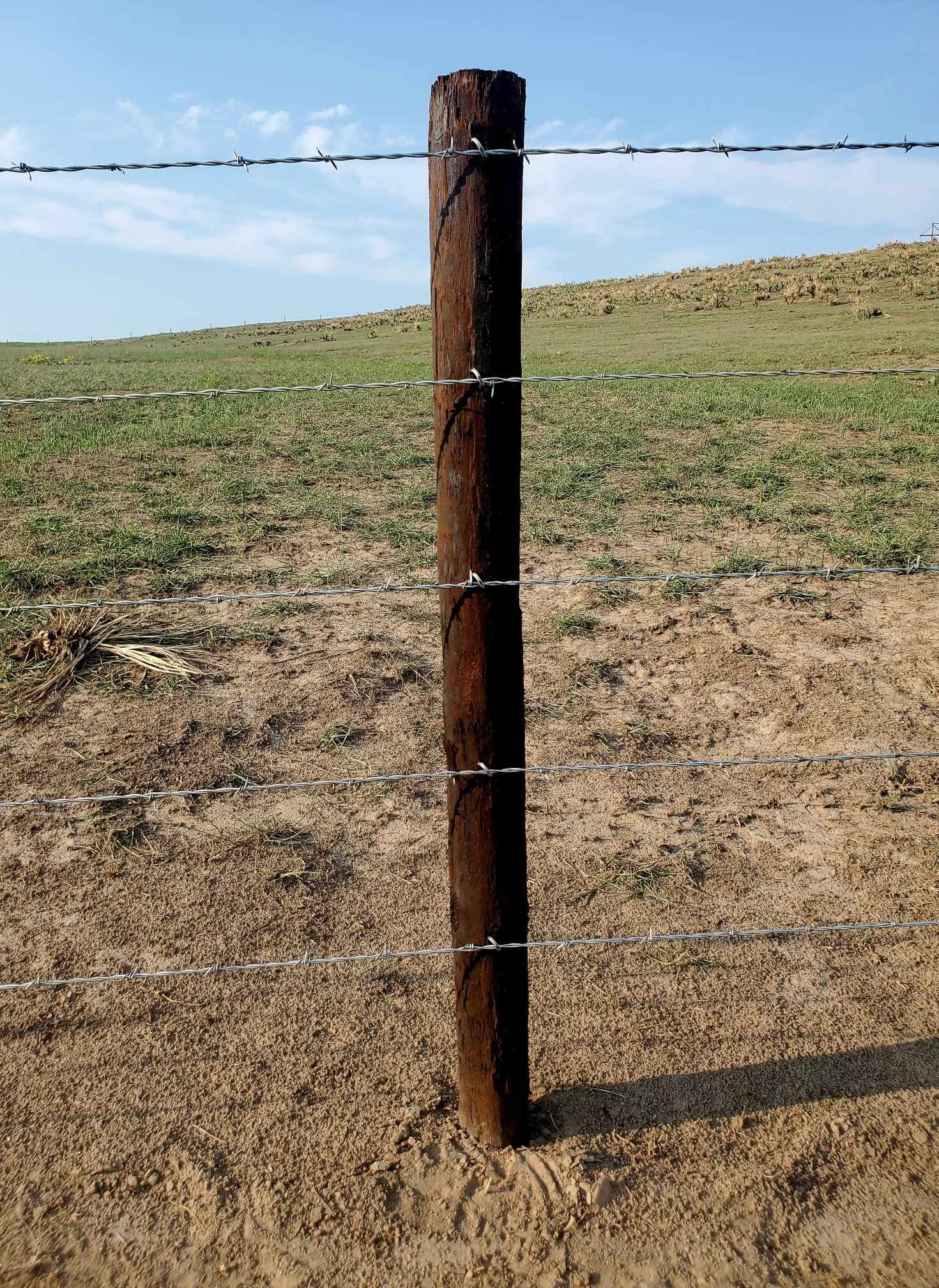 livestock fencing