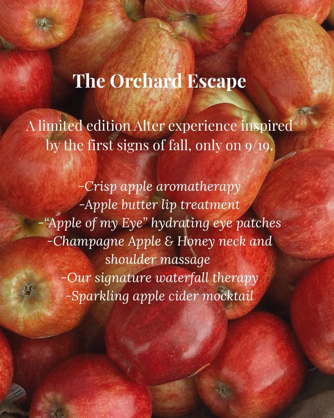The Orchard Escape- only 9/19

Our last special edition escape was so much fun, we decided to plan a September escape that welcomes the new season. Grab a friend and celebrate ✨ 

Raleigh nc head spa scalp spa