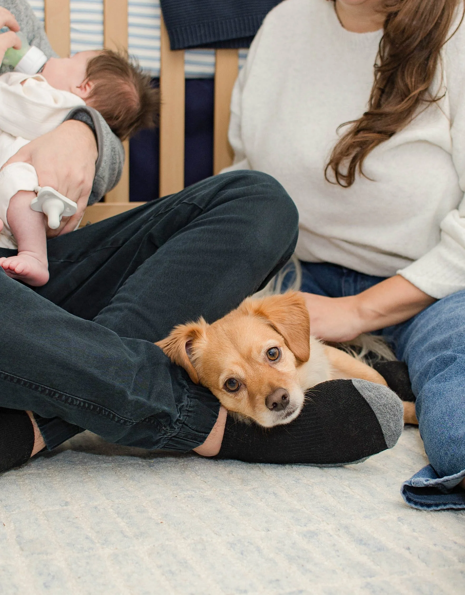 commack-newborn-lifestyle-session-family-with-dog.jpg