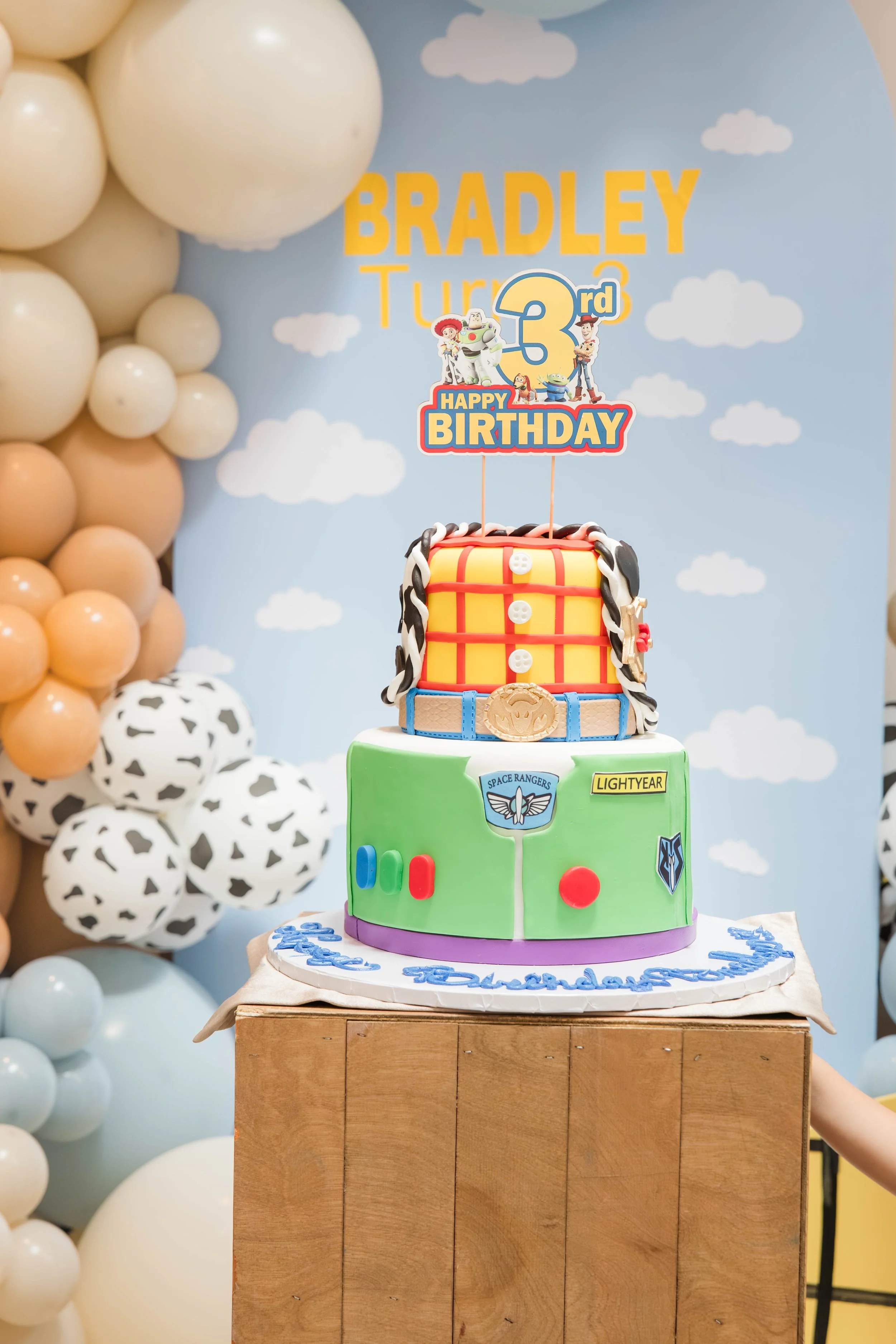 toy-story-birthday-cake-backdrop-merrick-ny