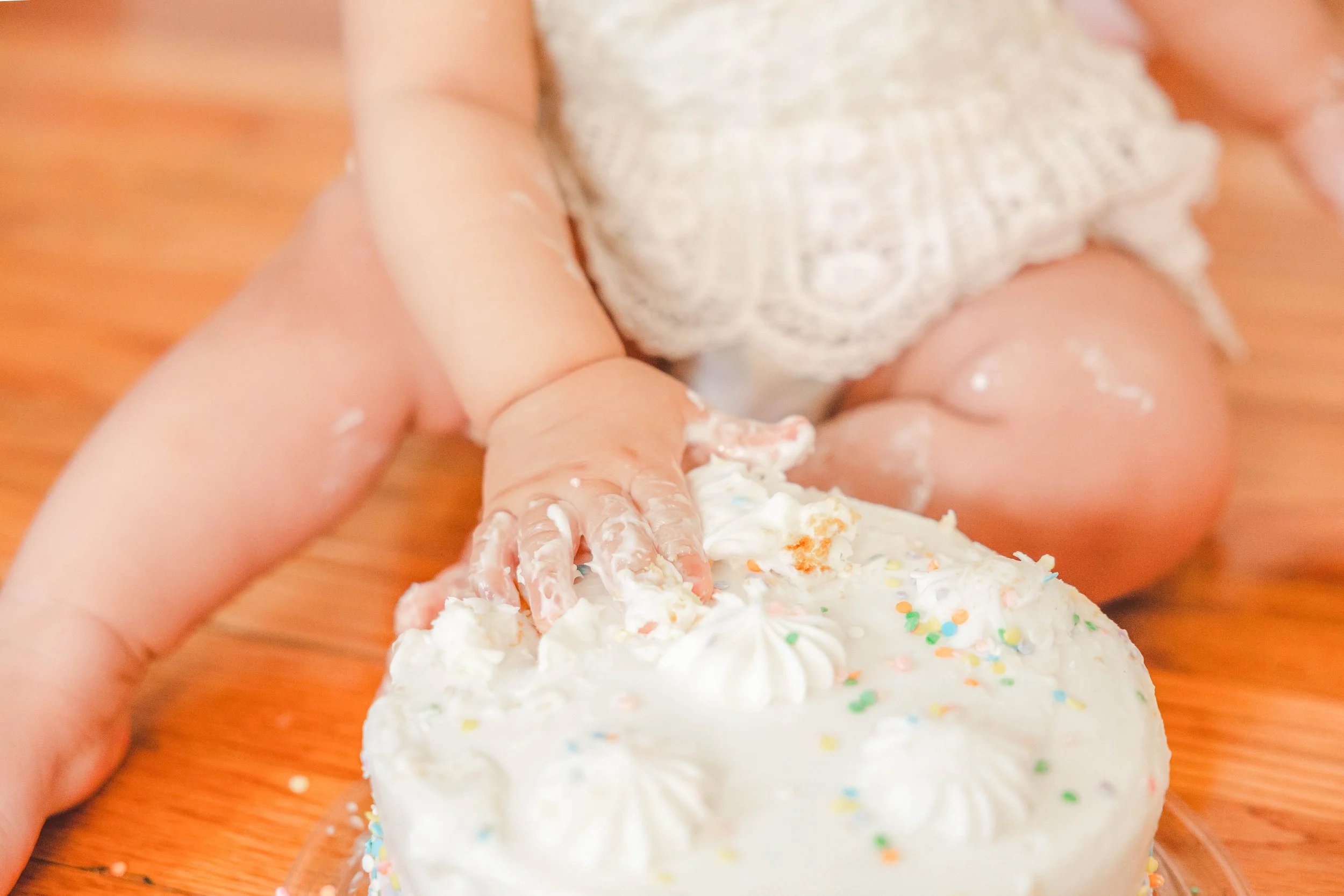 cake-smash-first-birthday-floral-park-ny.jpg