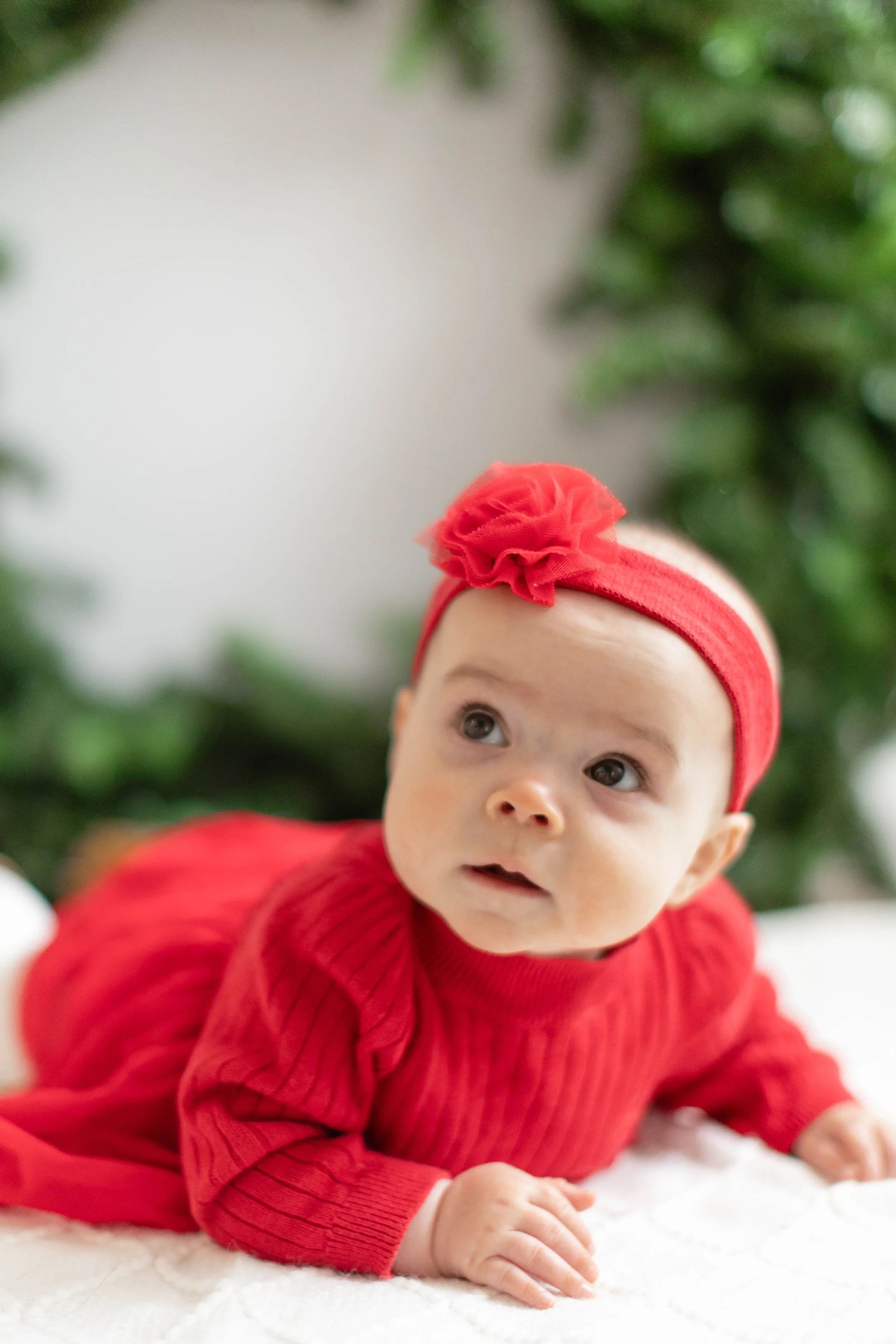 garden-city-studio-first-christmas-photos