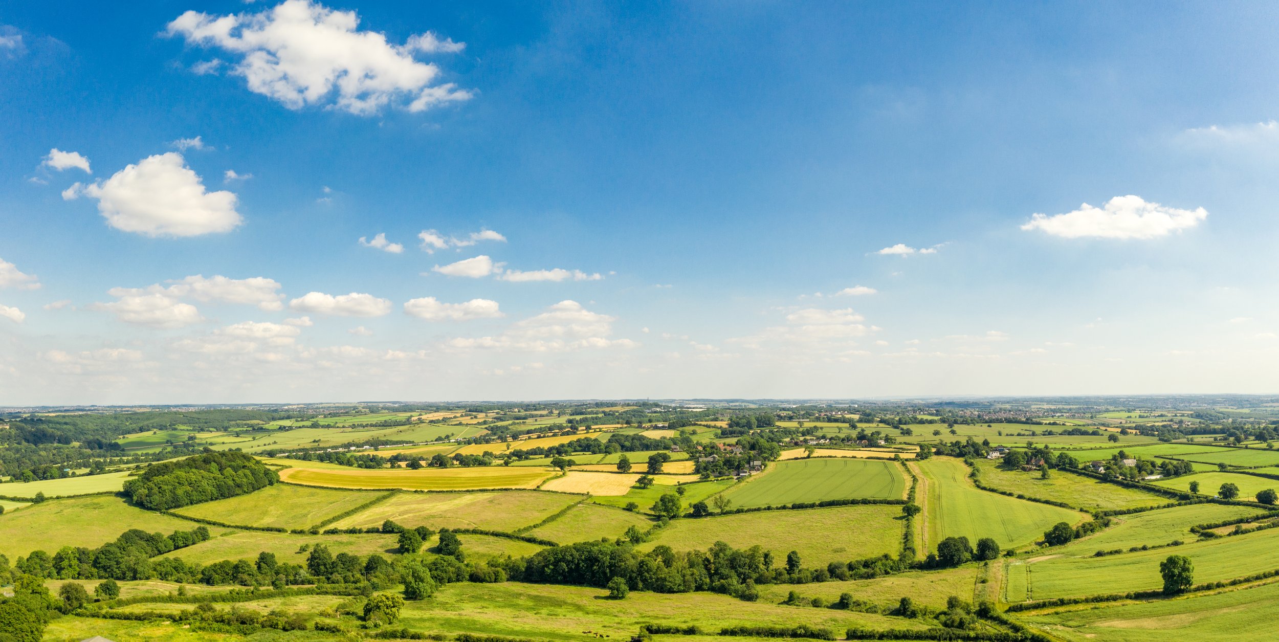 Midlands countryside landscape with hedgerows, fields and rural boundaries