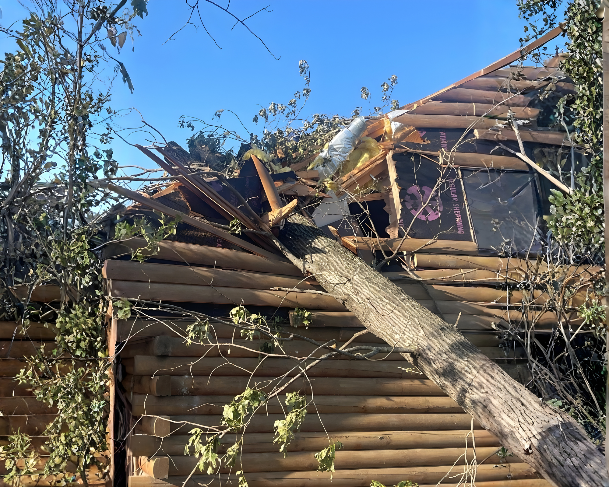 Tree Removal : Tornado Damage (Emergency Services)
