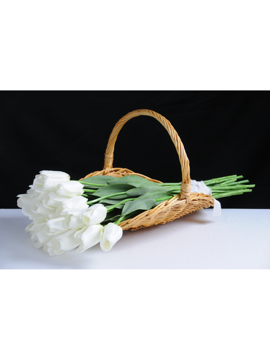 Untitled design (11).png