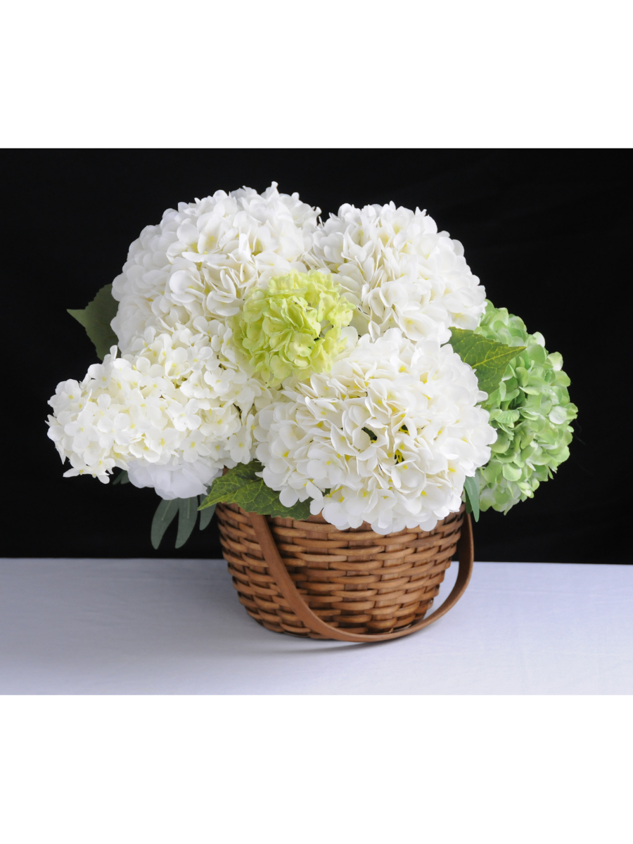 Untitled design (16).png