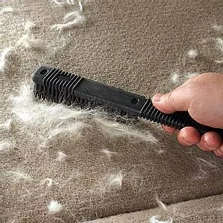 Pet Hair Removal - add on