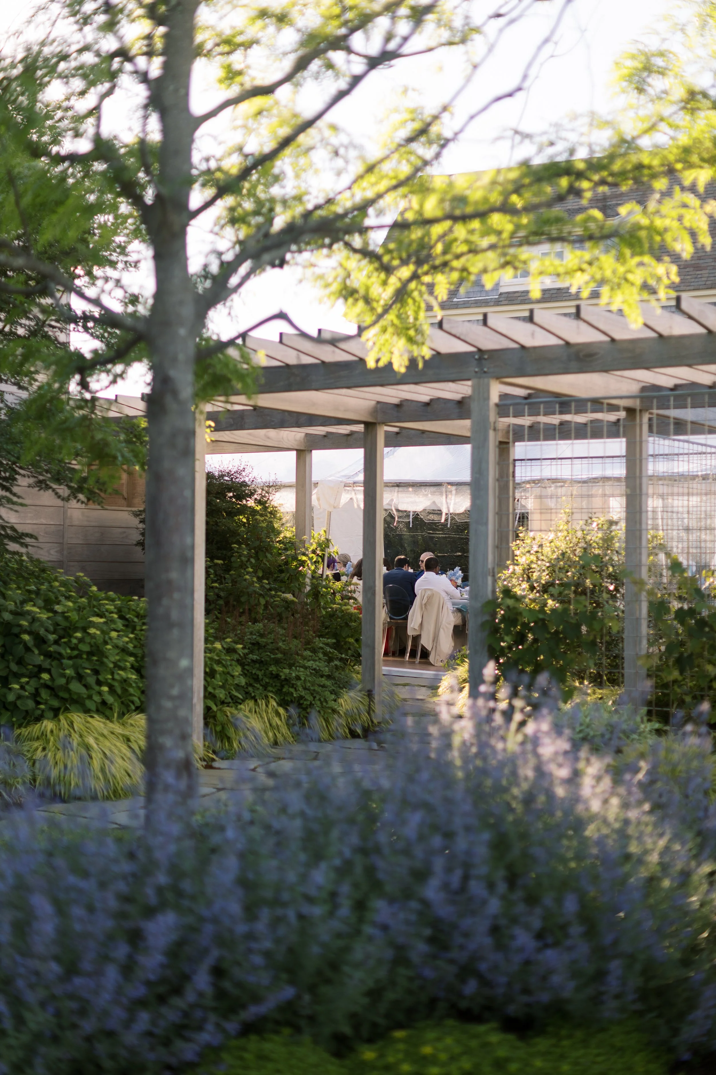 People sitting at tables outdoors in a garden party setting, viewed through wooden pergola and greenery with flowering plants, under sunlight.
