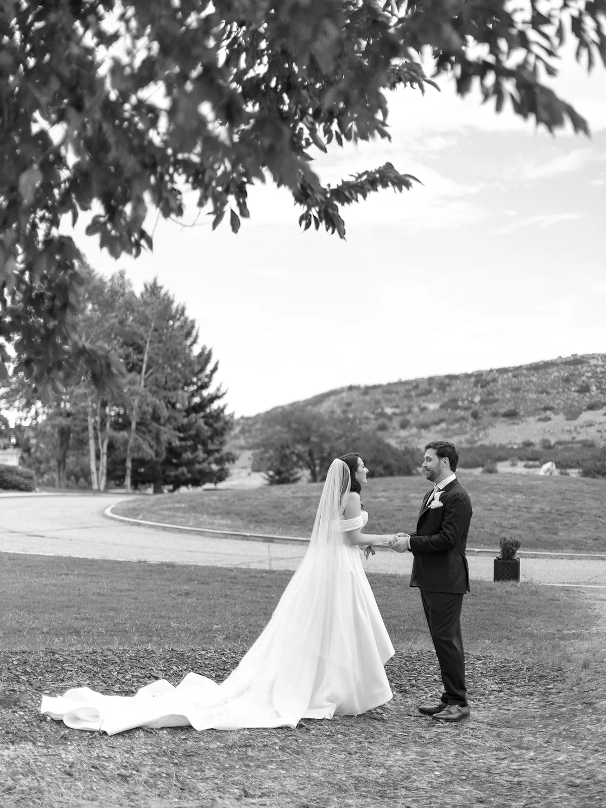 A bride and groom holding hands and facing each other outdoors, with a scenic landscape of rolling hills and trees in the background, captured in black and white.
