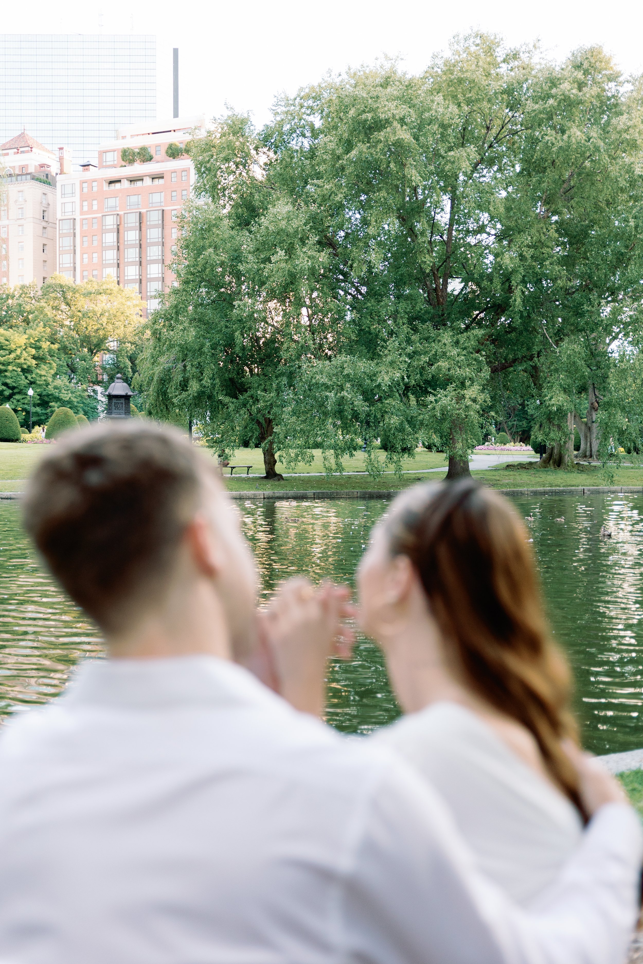 Out of focus of a couple sitting by a lake in a city park, with large trees and buildings in the background.