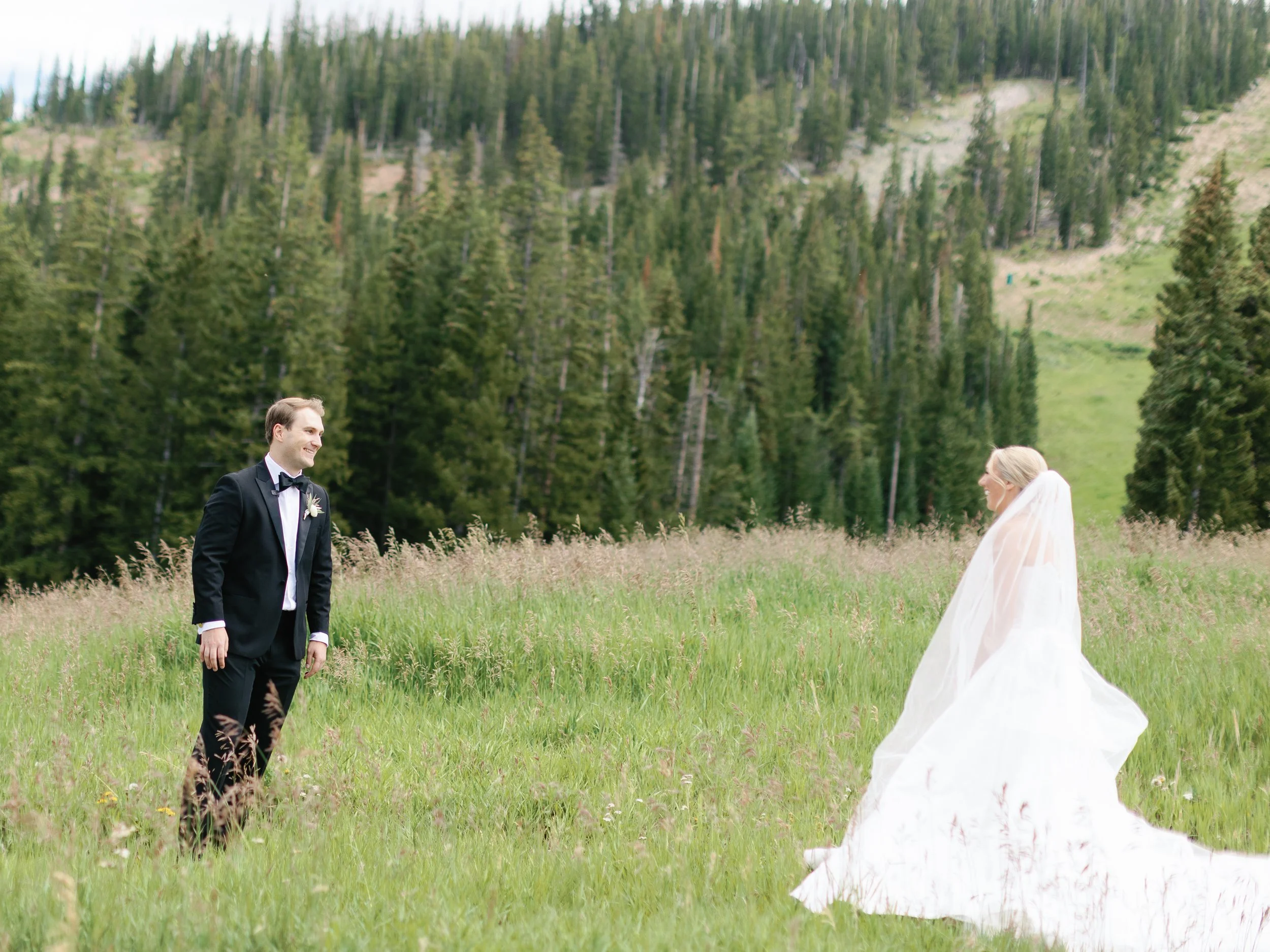 A bride and groom standing in a grassy field with a forest and mountain in the background. The groom is wearing a black tuxedo with a bow tie, and the bride is in a white wedding dress with a veil. They are looking at each other and smiling.
