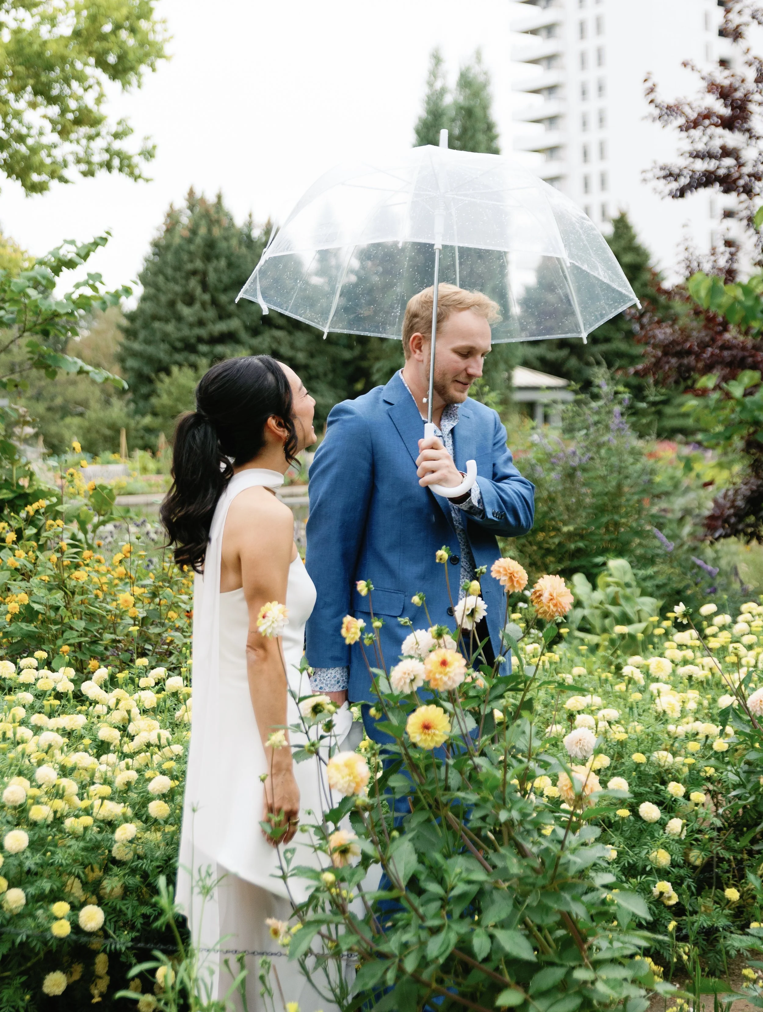 A couple in wedding attire standing in a flower garden under a clear umbrella on a rainy day, surrounded by yellow and white flowers, with tall buildings and trees in the background.
