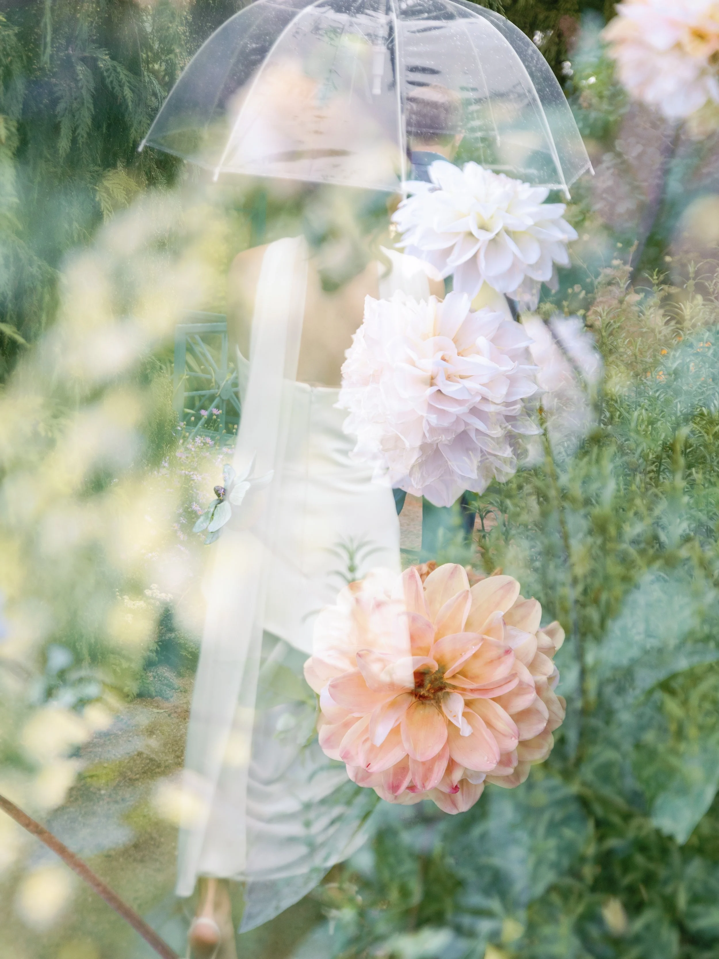 A woman in a white dress holding an umbrella, surrounded by large white and pink flowers in a garden.