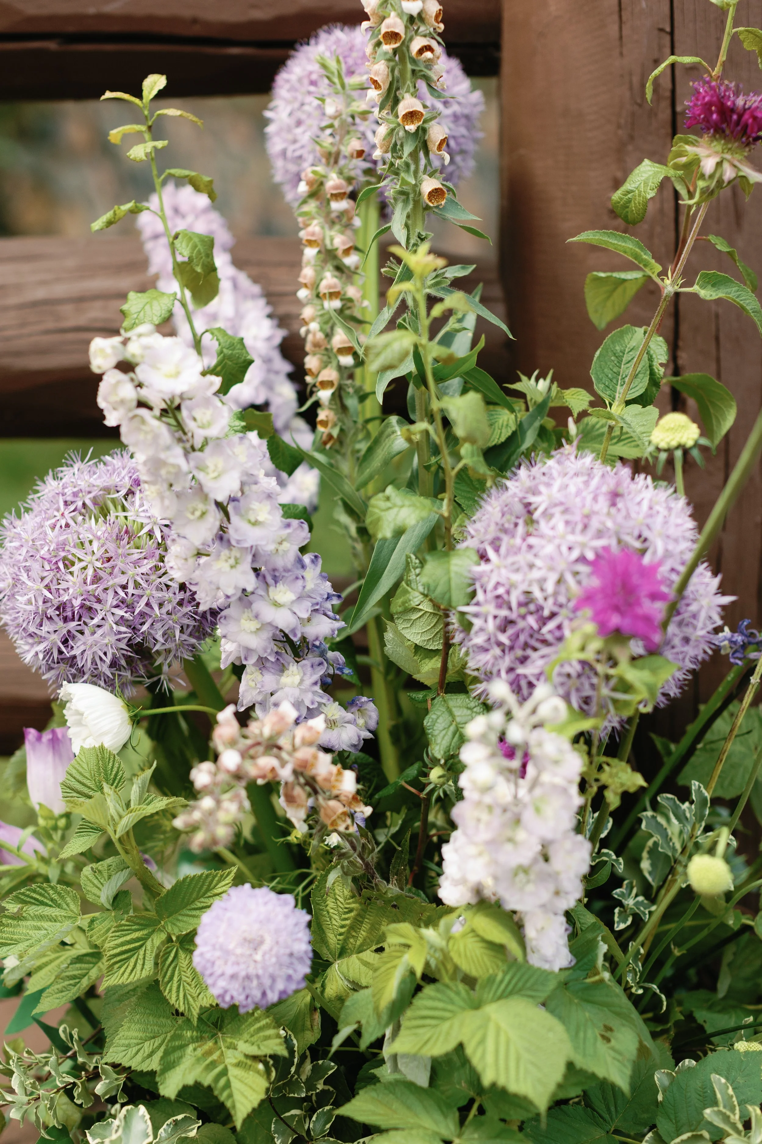 A colorful arrangement of various flowering plants, including purple, pink, and white blossoms, against a wooden background.
