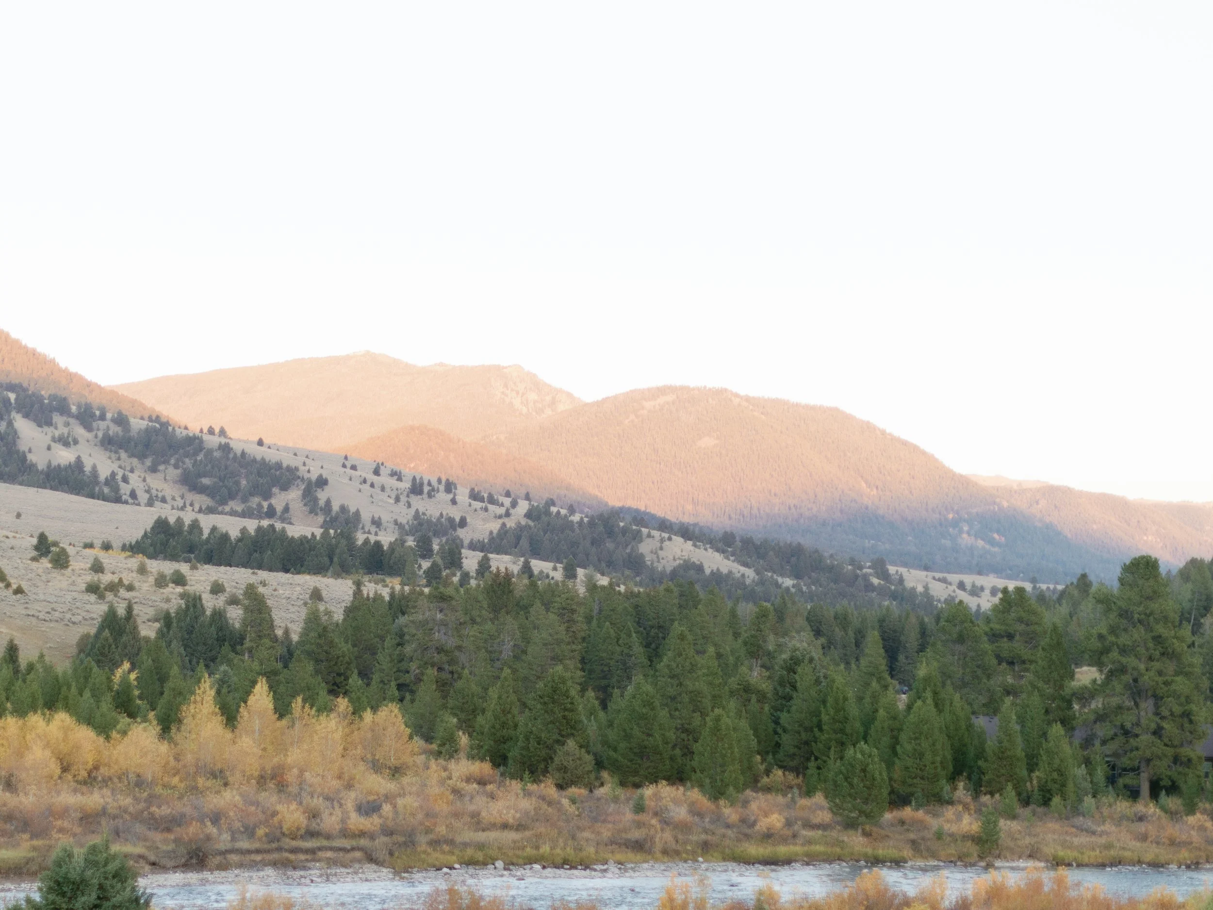 Landscape of mountains, pine trees, and a river in a remote forested area during daytime.