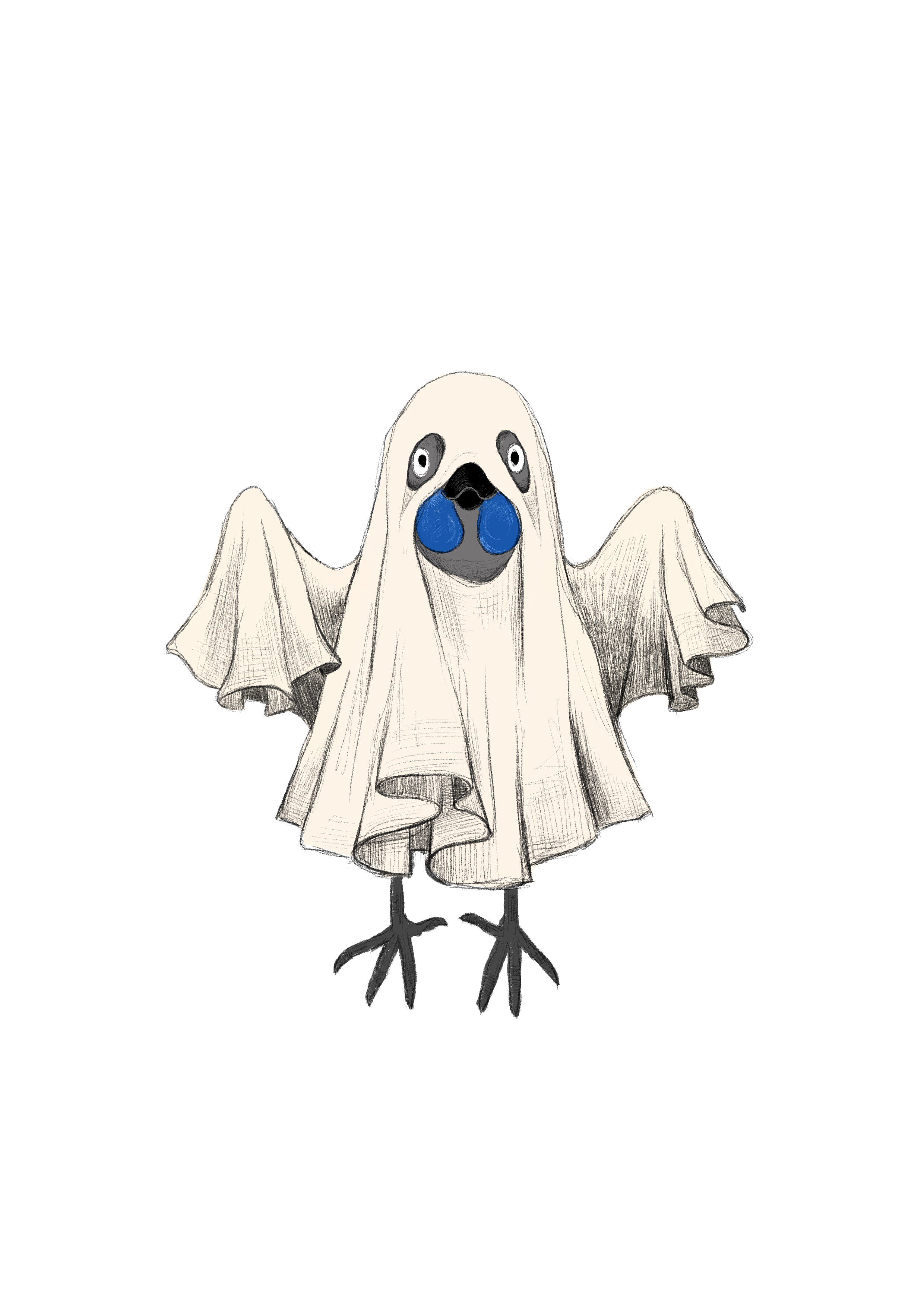 Grey Ghost