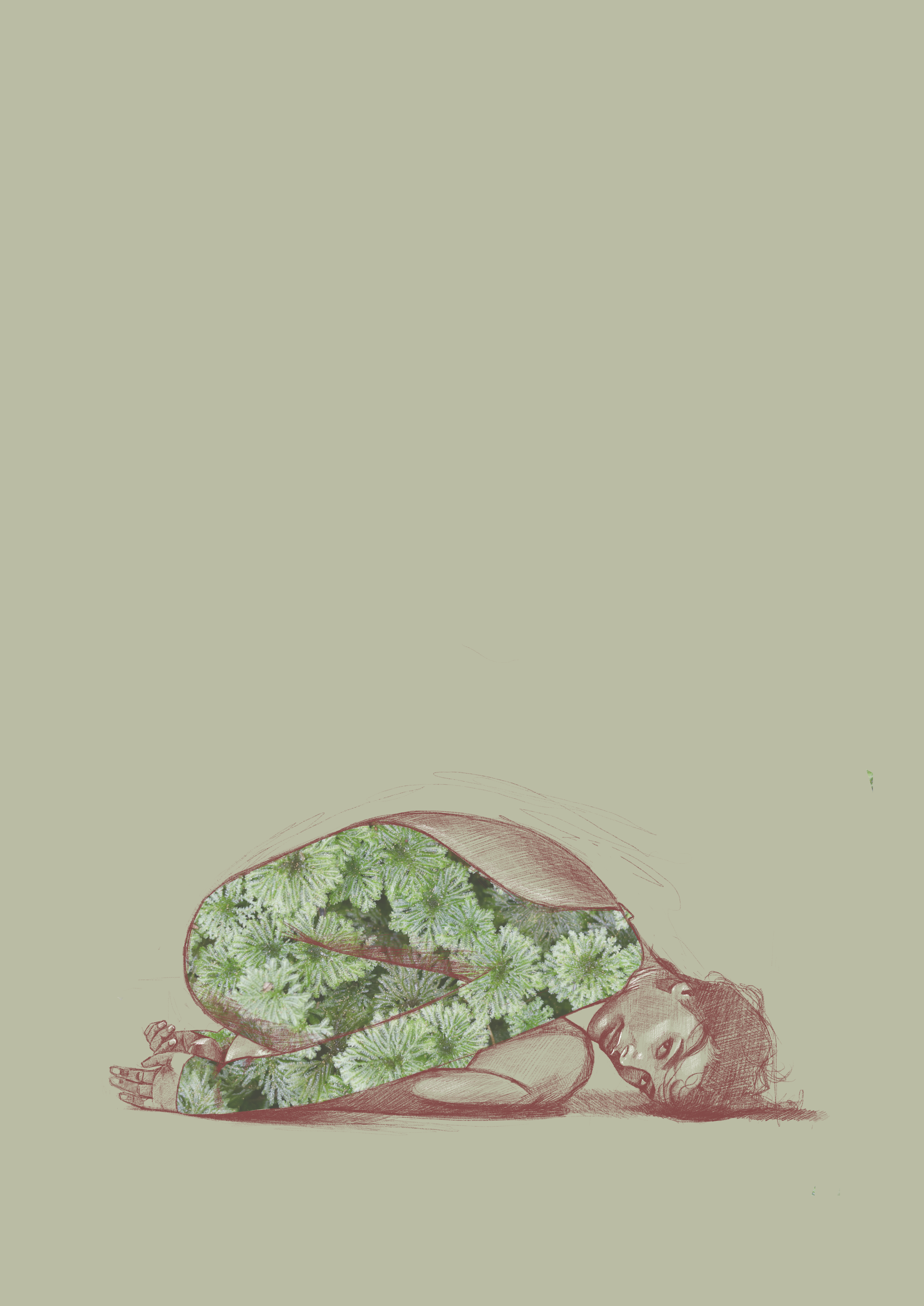 Untitled_Artwork (1).png