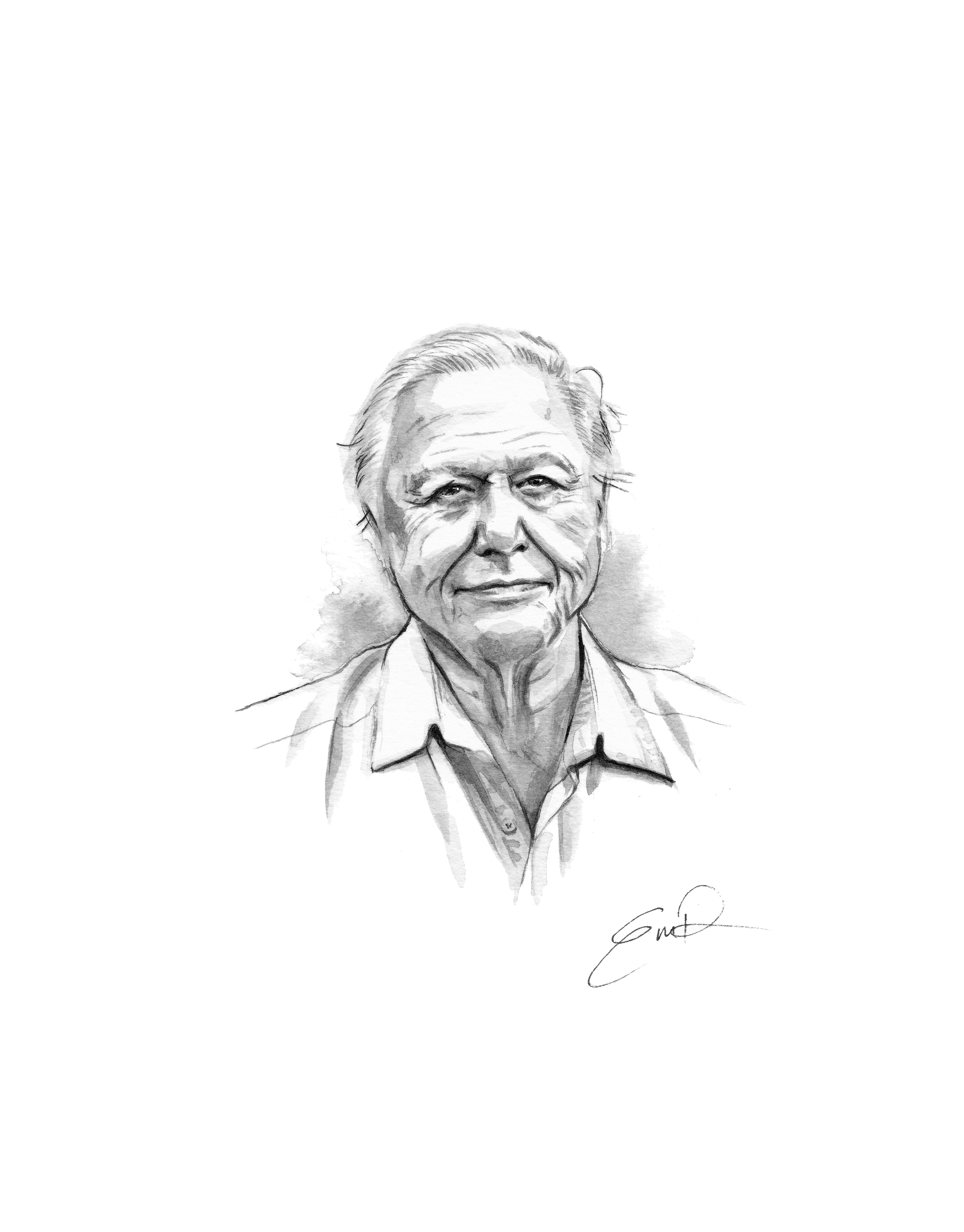 david attenborough.png