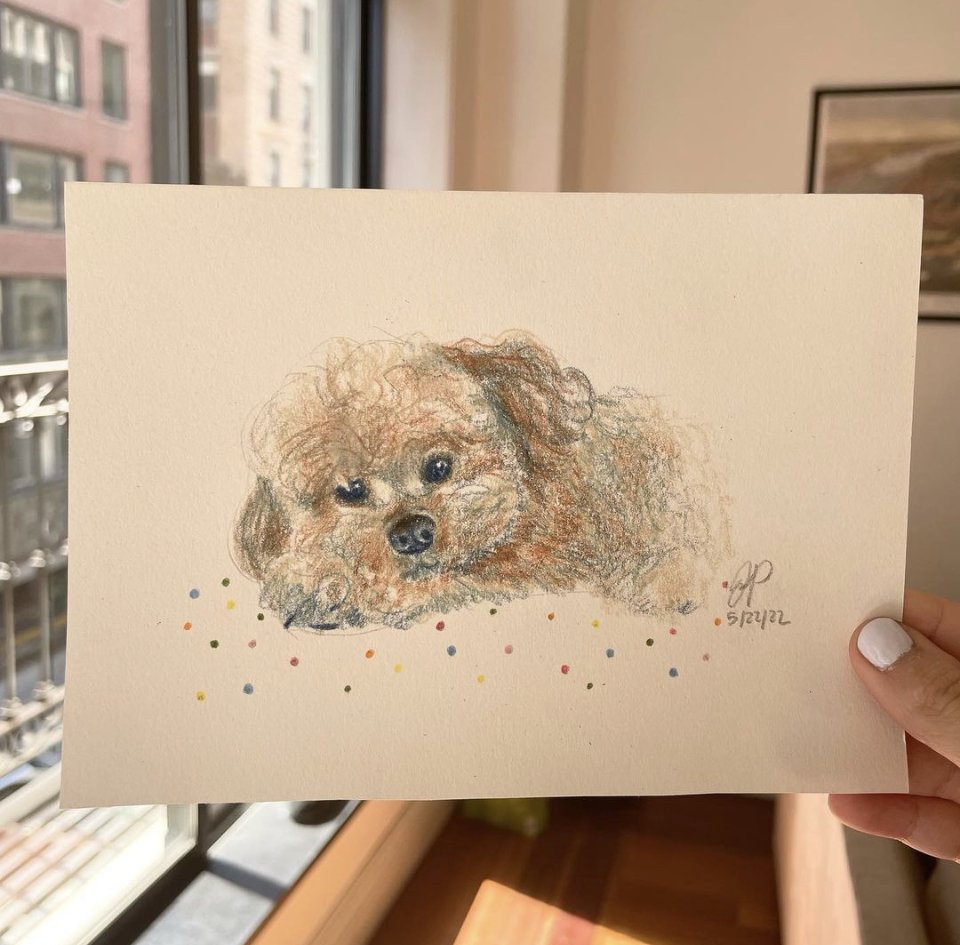 dog2.jpg