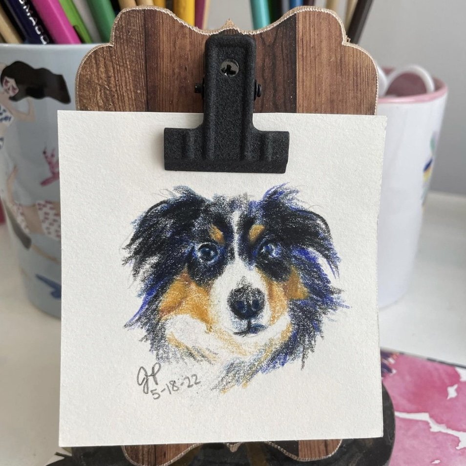 dog4.jpg