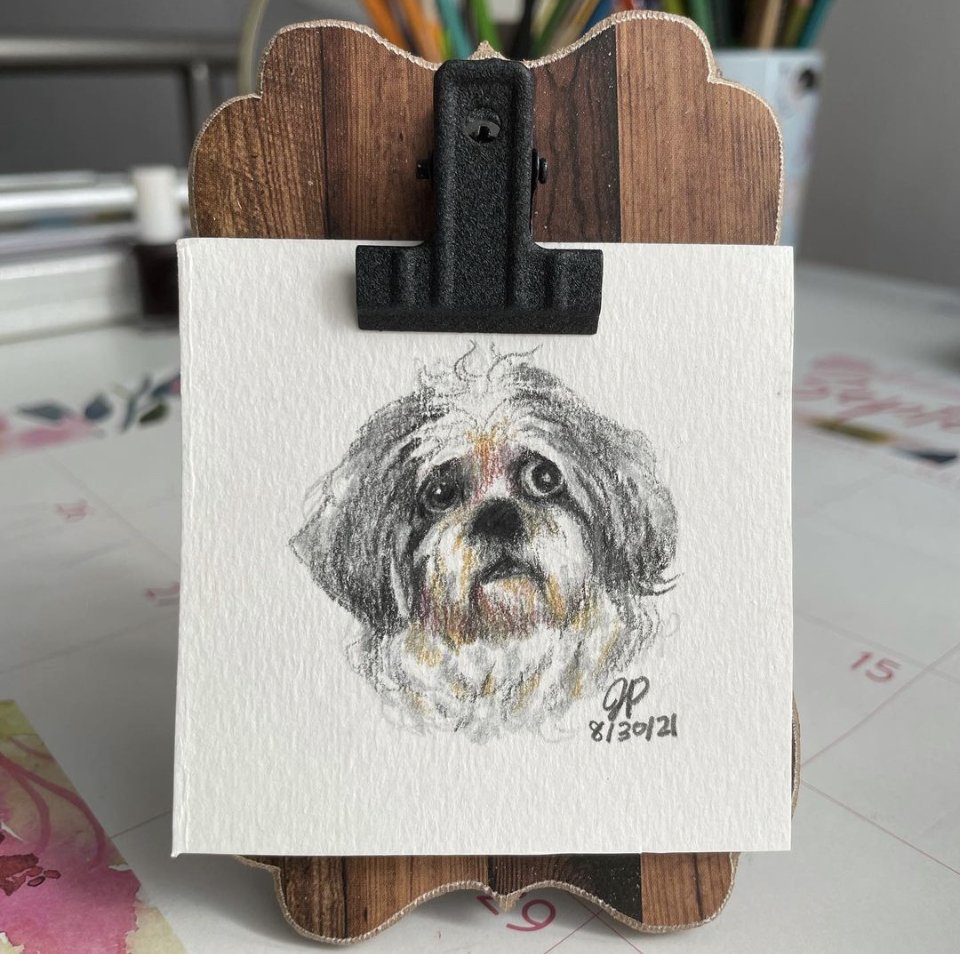 dog3.jpg