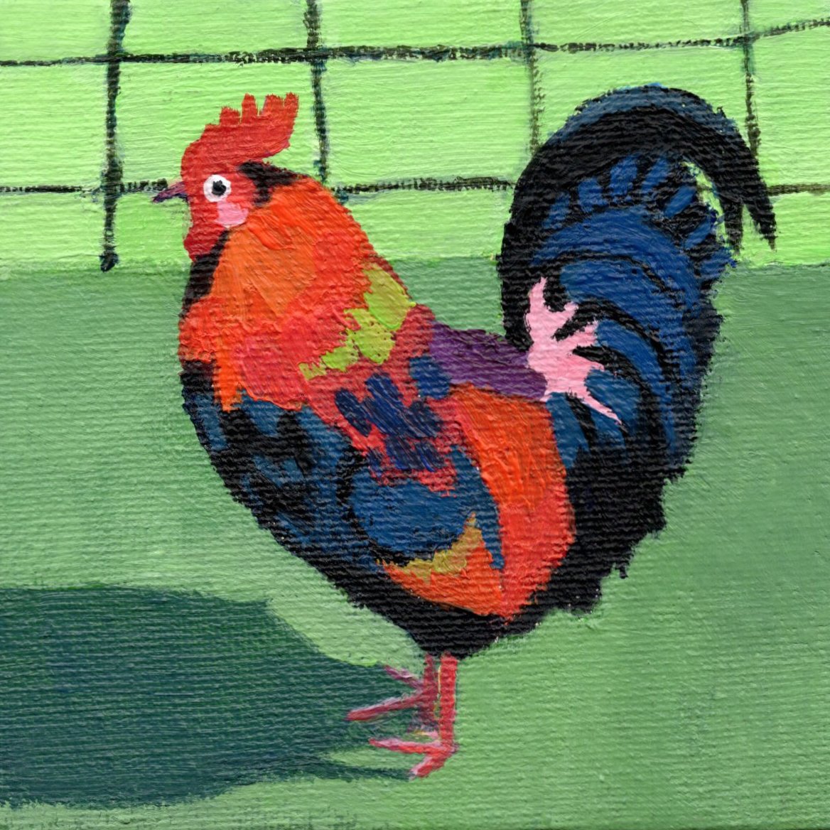 wild-chicken.jpg