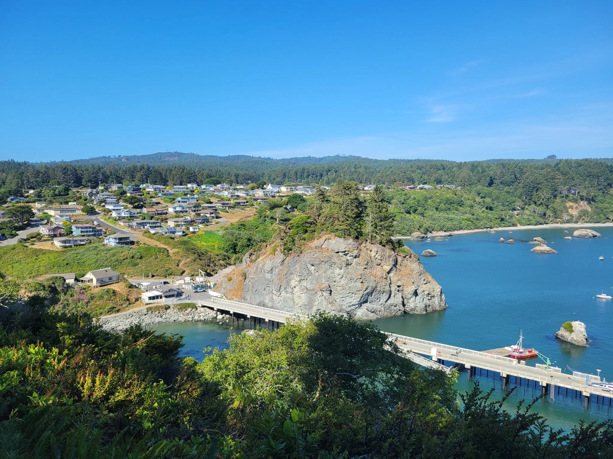 Trinidad Coastal: Trees to Seas