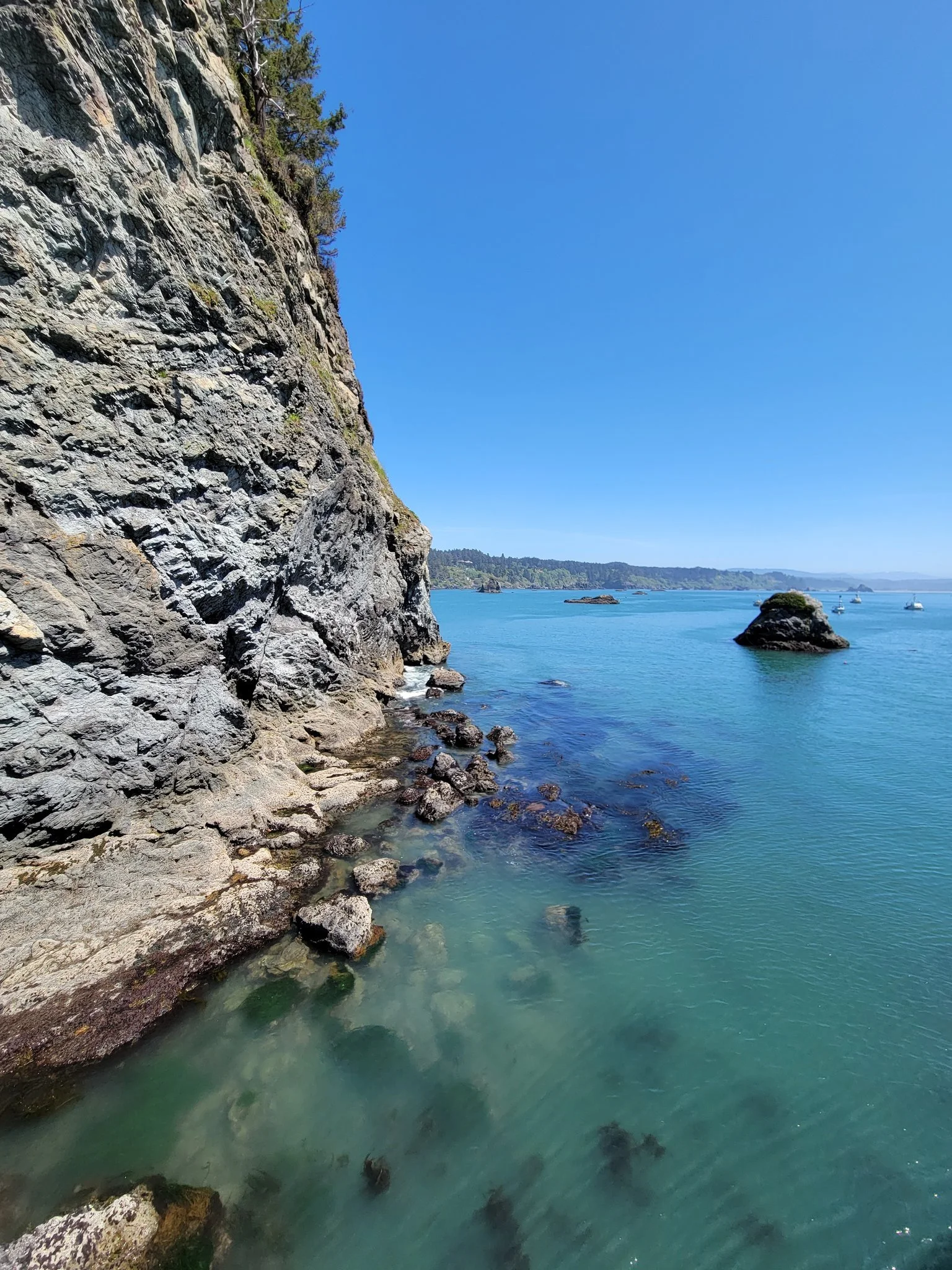 Trinidad Little head.jpg