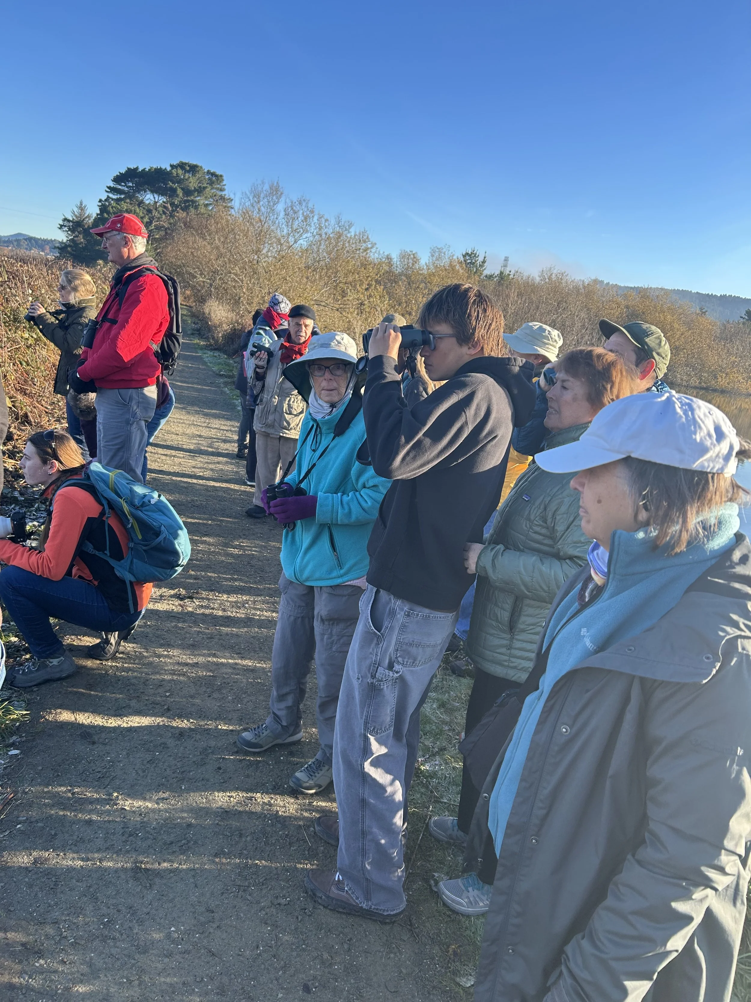 STEP-ON TOUR GUIDE SERVICE