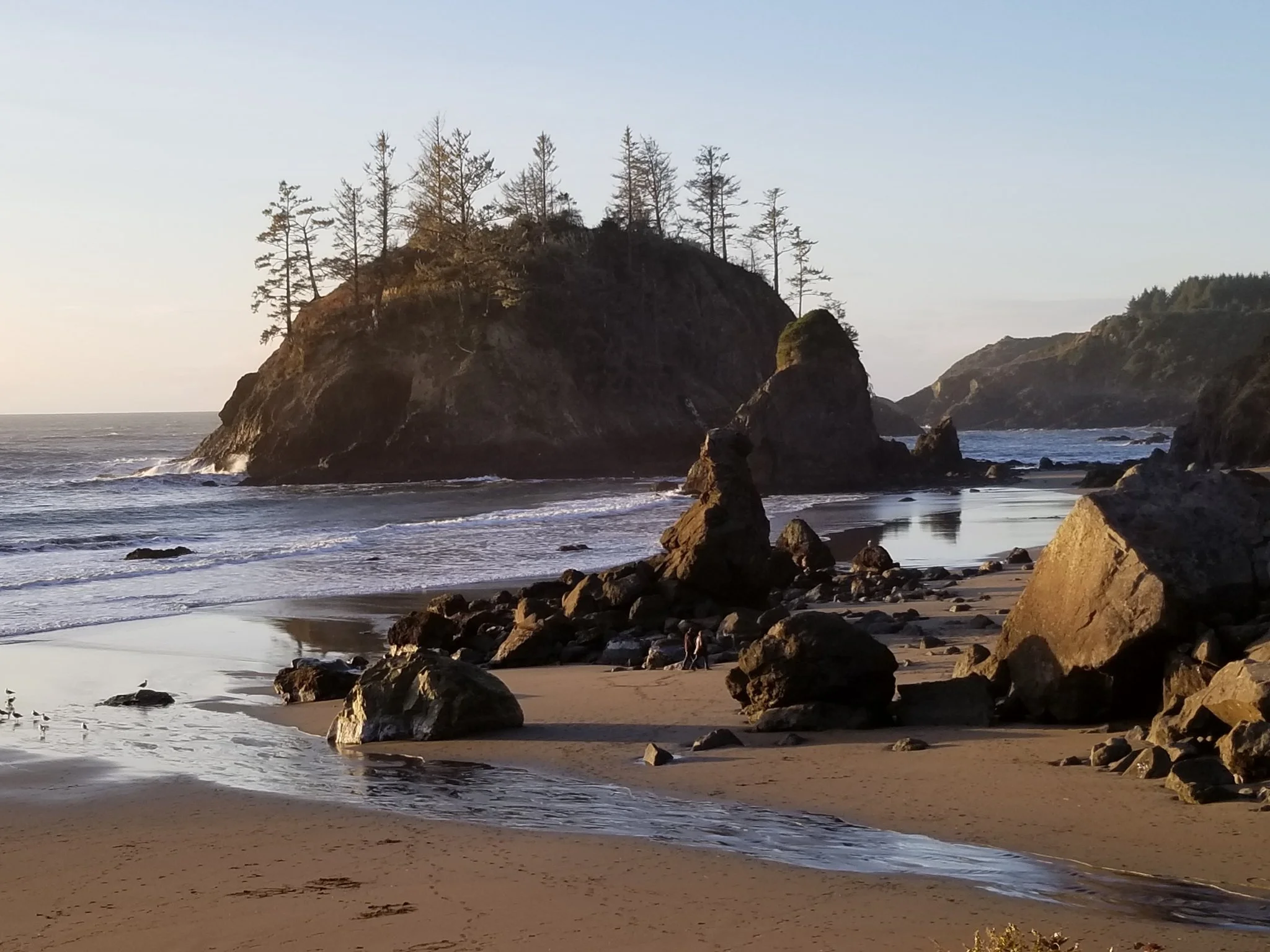 Redwood Coast Tour