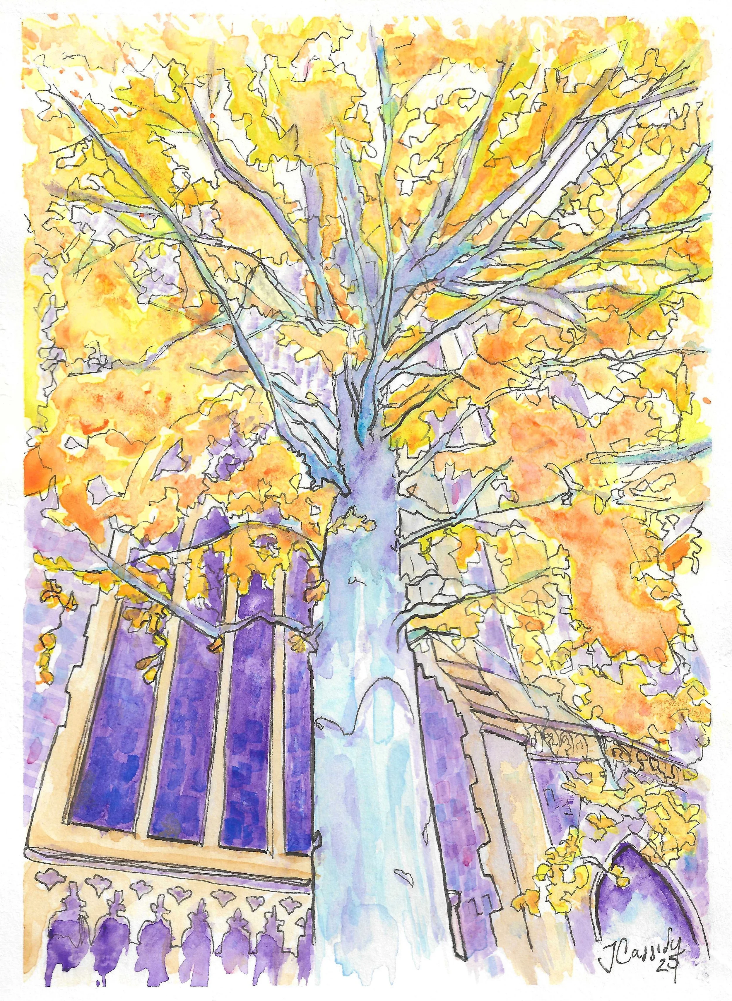 A colourful watercolour painting of a city street scene with a church tower, a bold beech tree with yellow leaves, and buildings with cobbles and intricate window patterns.