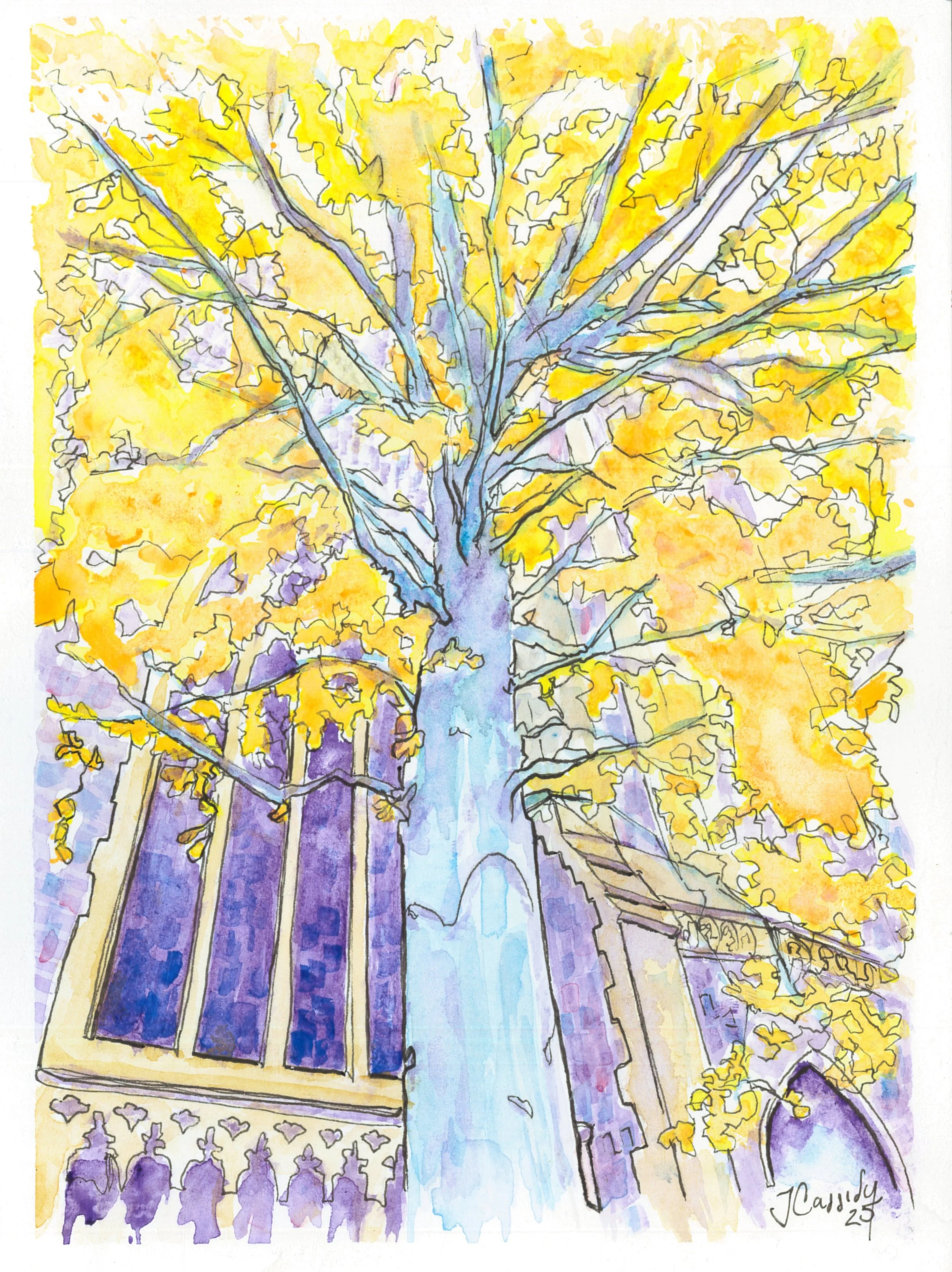 Ipswich Minster Beech.jpg