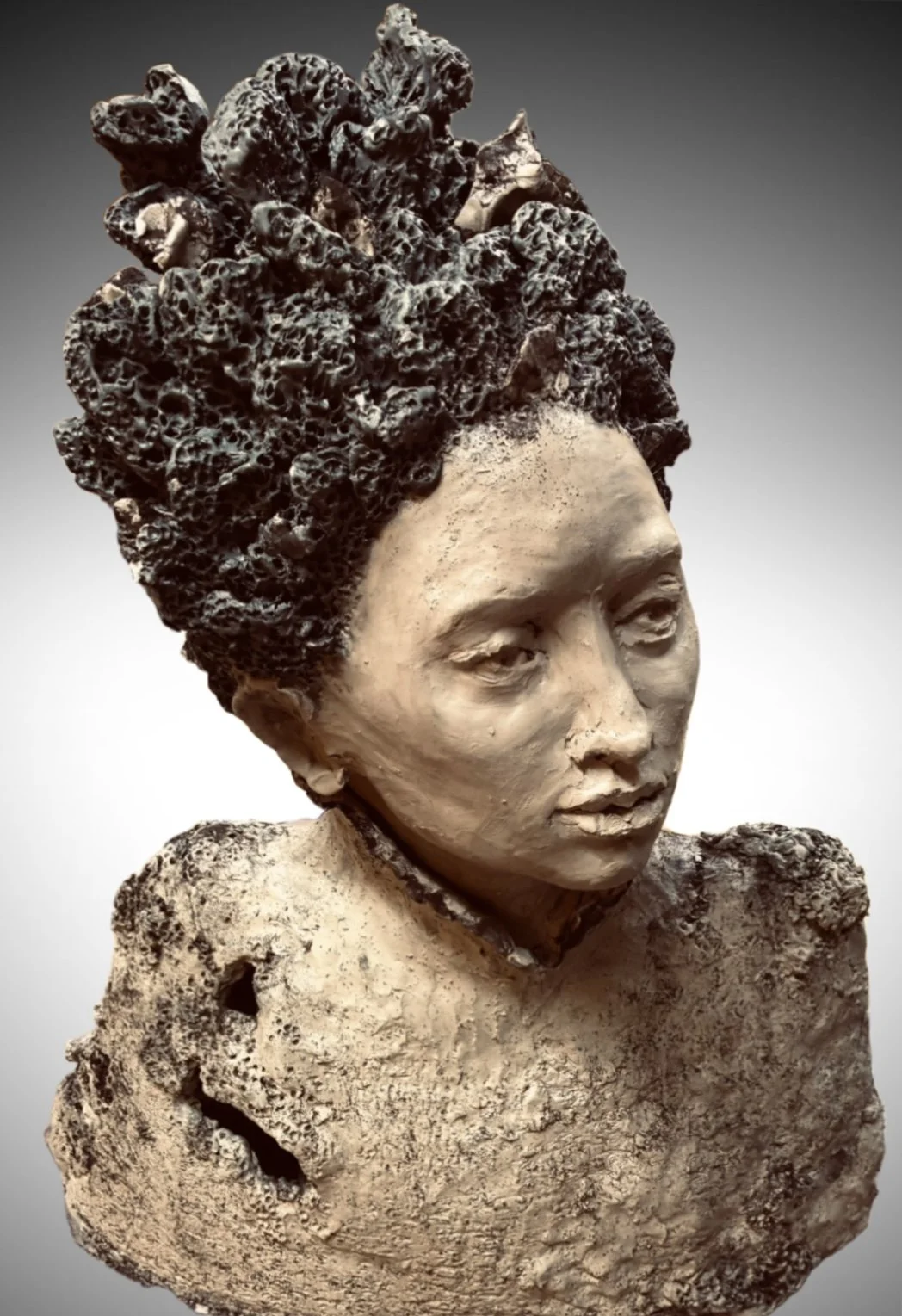 De anima vegetativa: working notes 