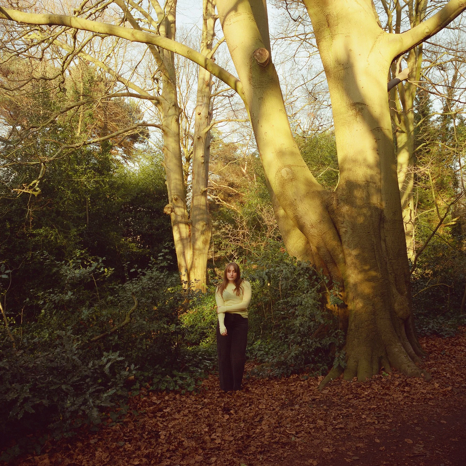 NM-SS-March25-18 copy.jpg