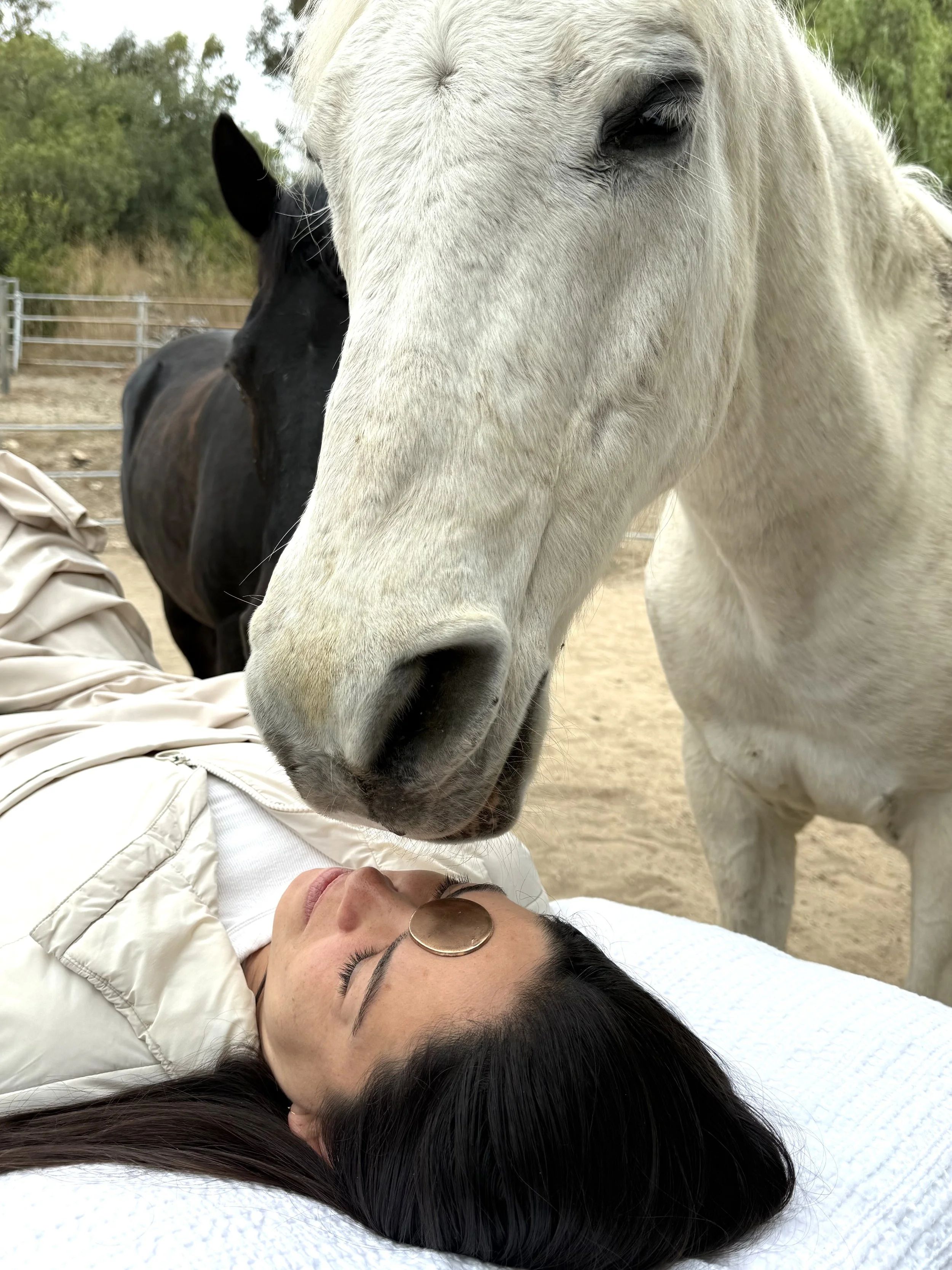A woman with long dark hair, wearing glasses and a white jacket, lies on her back on a white surface with her eyes closed. A white horse is close to her face, nuzzling her, while a black horse stands in the background. The scene appears to be at an outdoor farm or equestrian area with fencing and trees.
