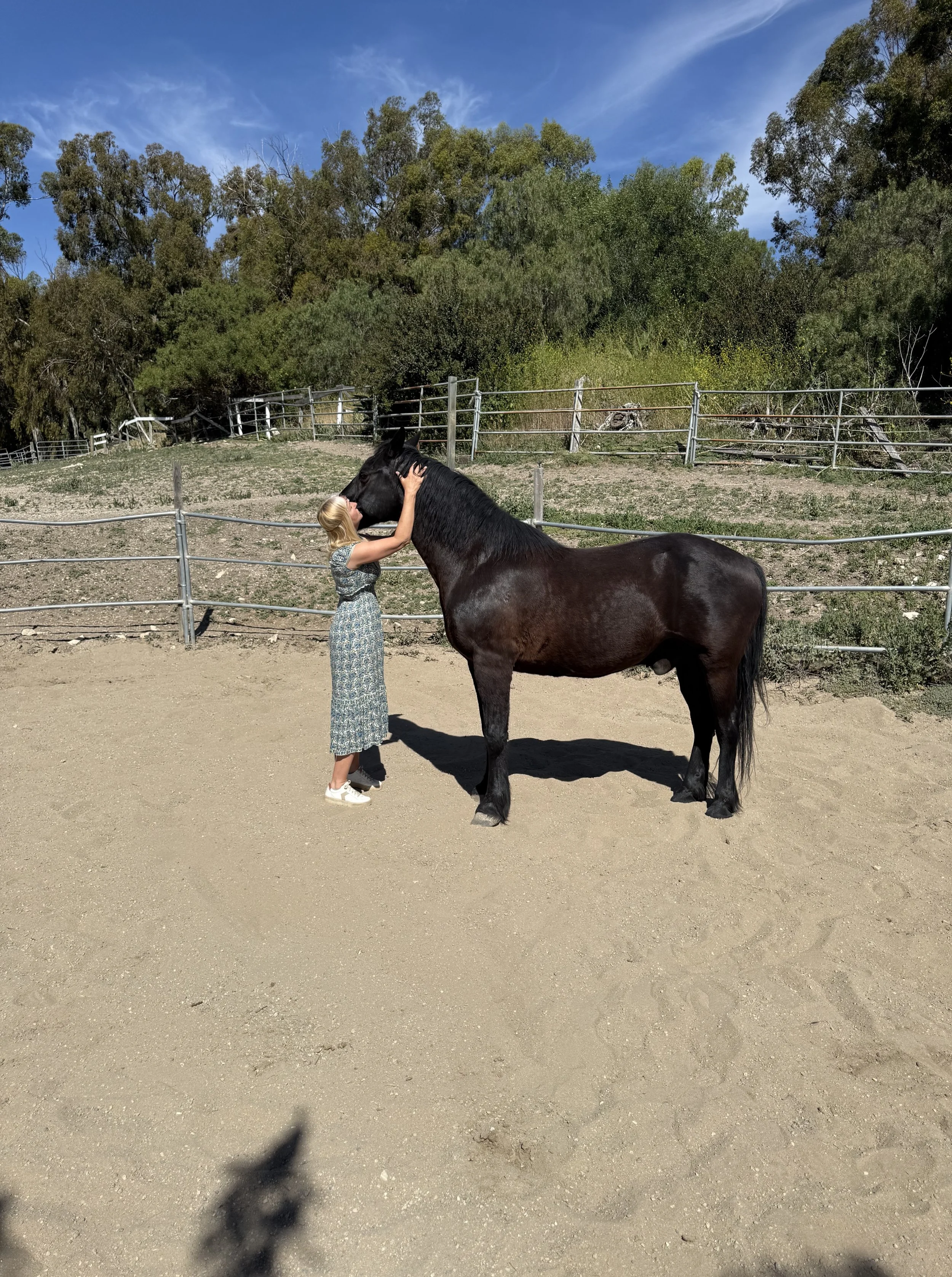 A woman with blonde hair in a floral dress is petting a large black horse inside a fenced outdoor area on a sunny day. There are trees and a wooden fence in the background, with a clear blue sky overhead.