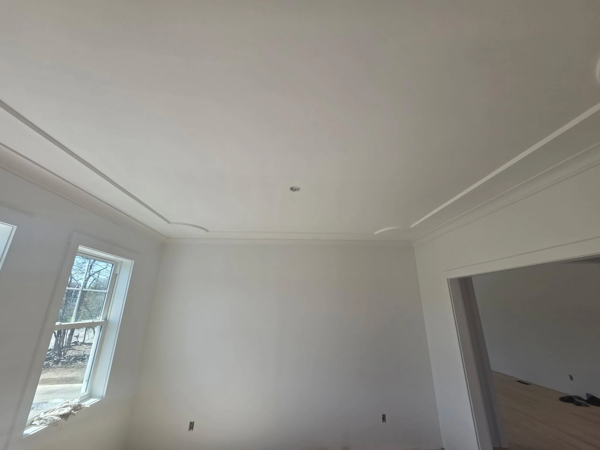 Plastered Ceiling & Blueboard - Paint Ready