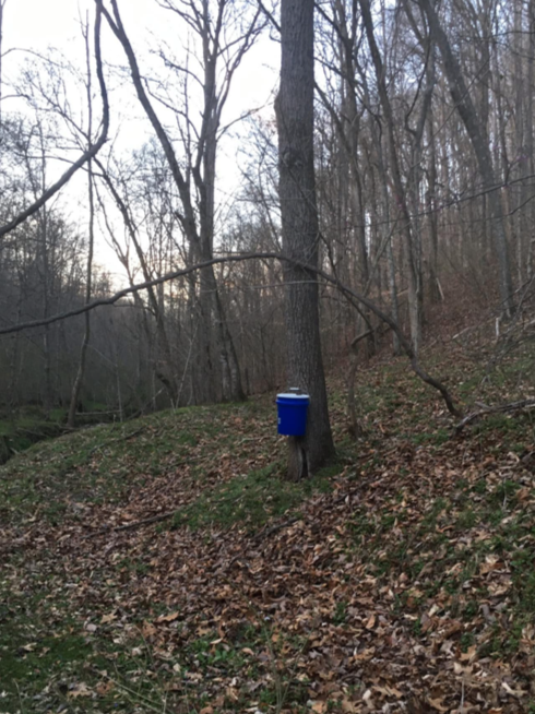 Farm Diary February 2026 Part One