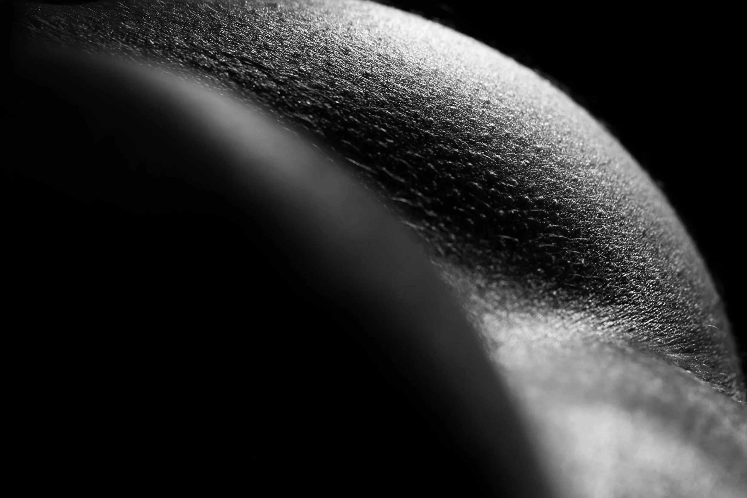 The place where skin forgets it ends